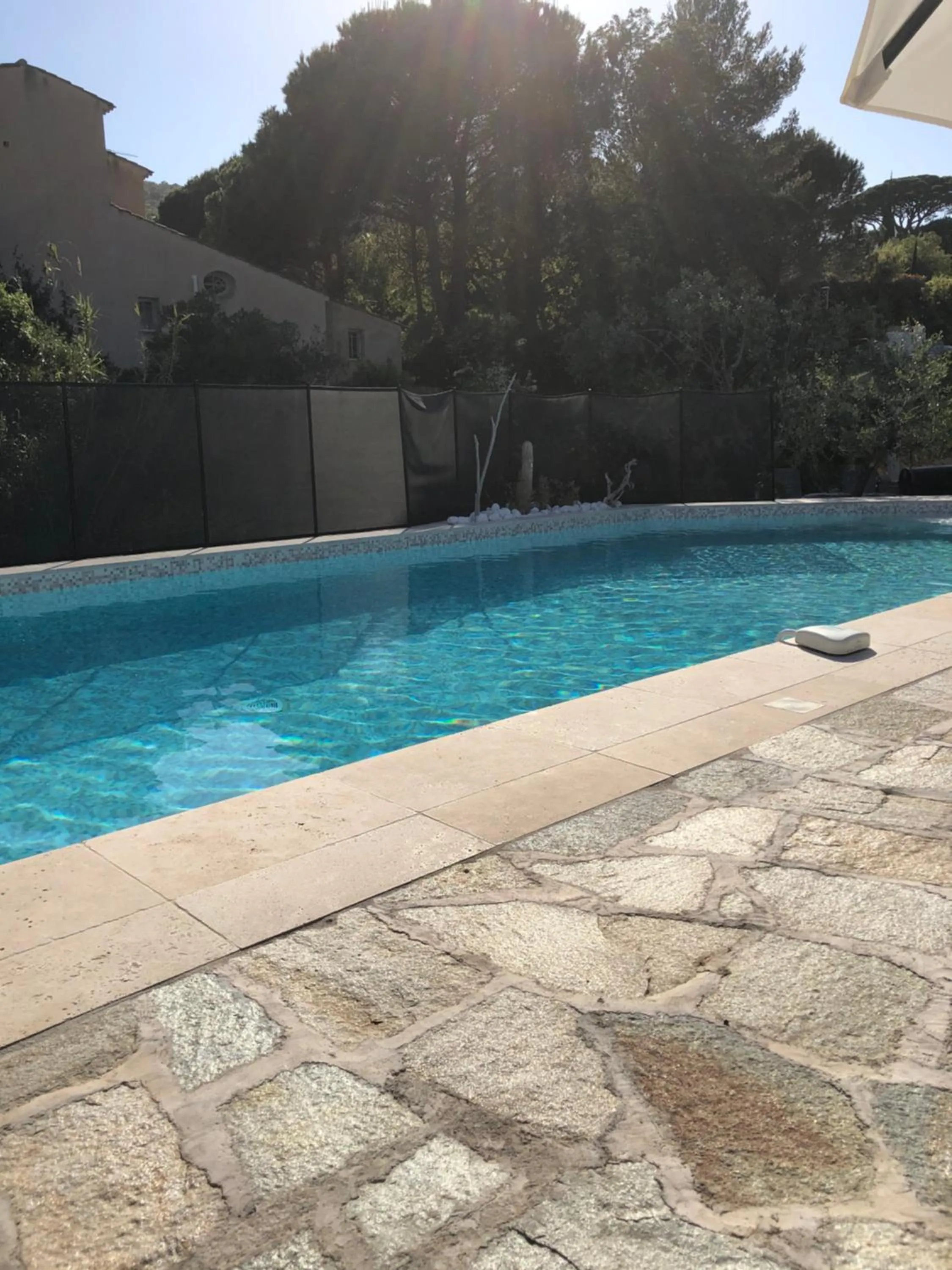 Swimming pool in Maxima Sunset