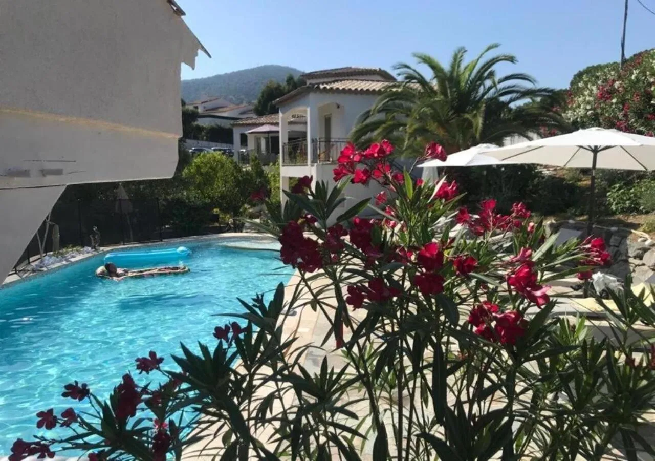 Swimming pool in Maxima Sunset