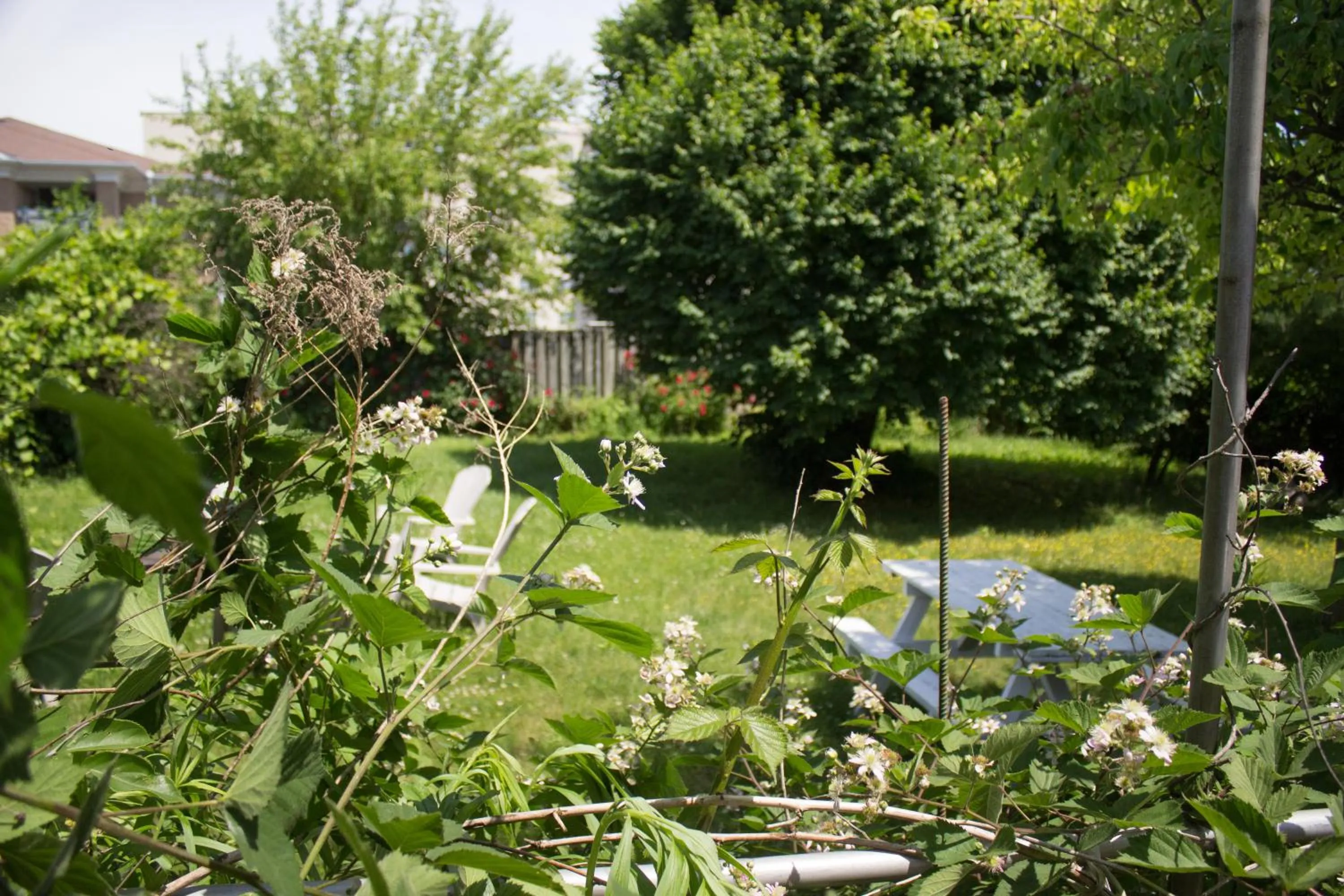 Anna's Bed & Breakfast