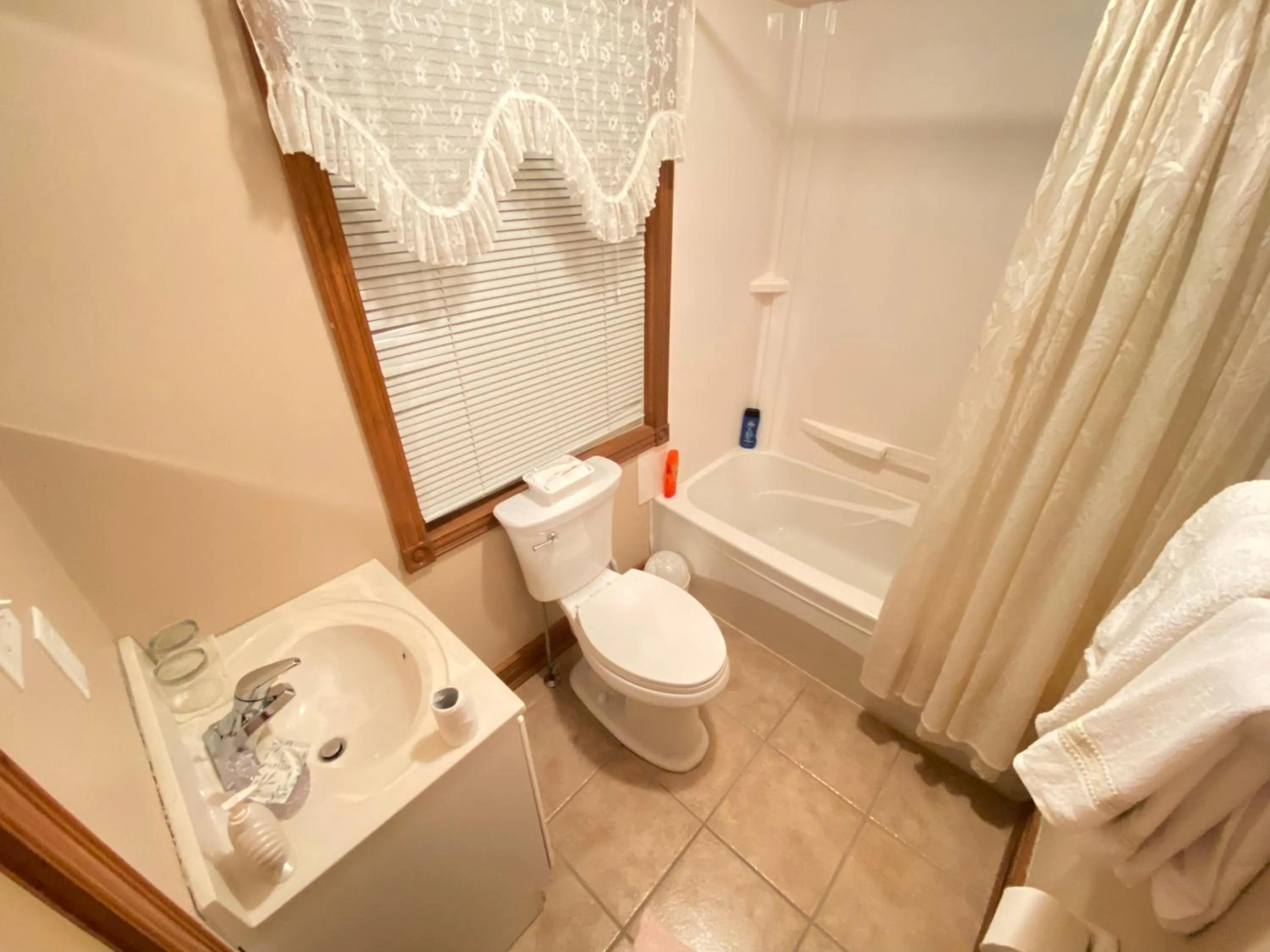 Bathroom in Anna's Bed & Breakfast