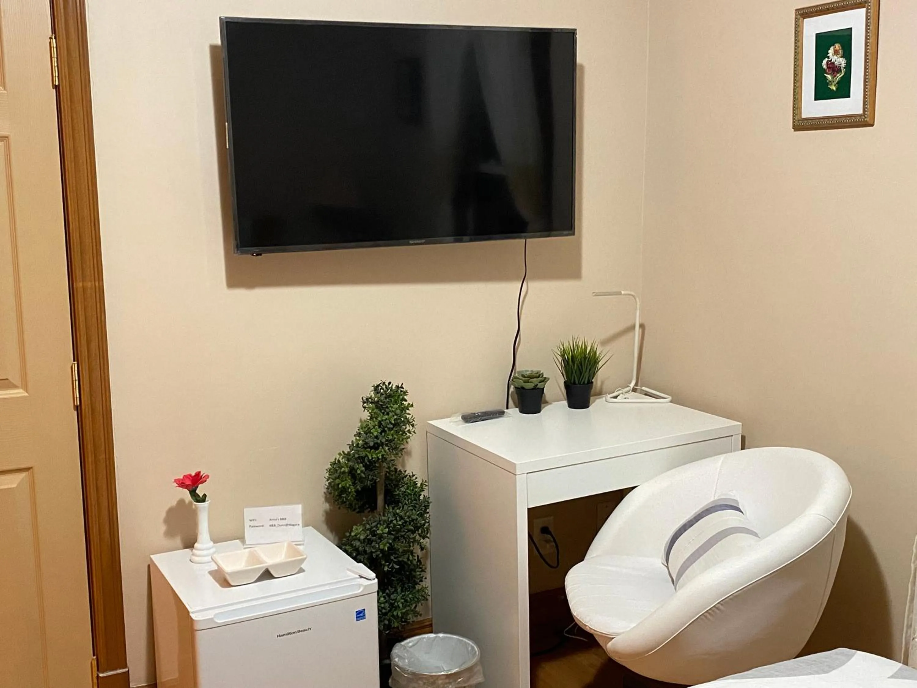 TV and multimedia in Anna's Bed & Breakfast