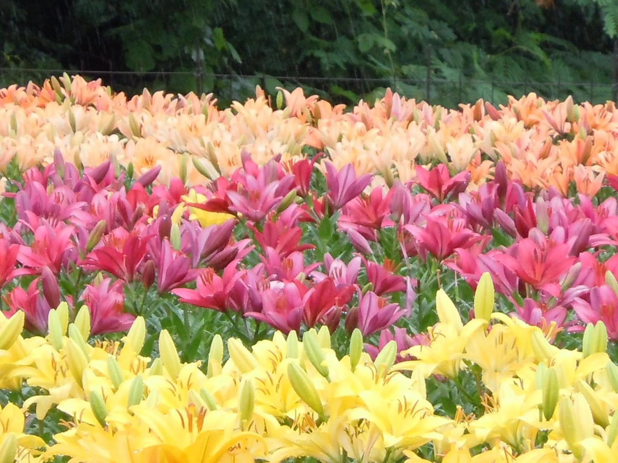 Nearby landmark in Misasa Royal Hotel