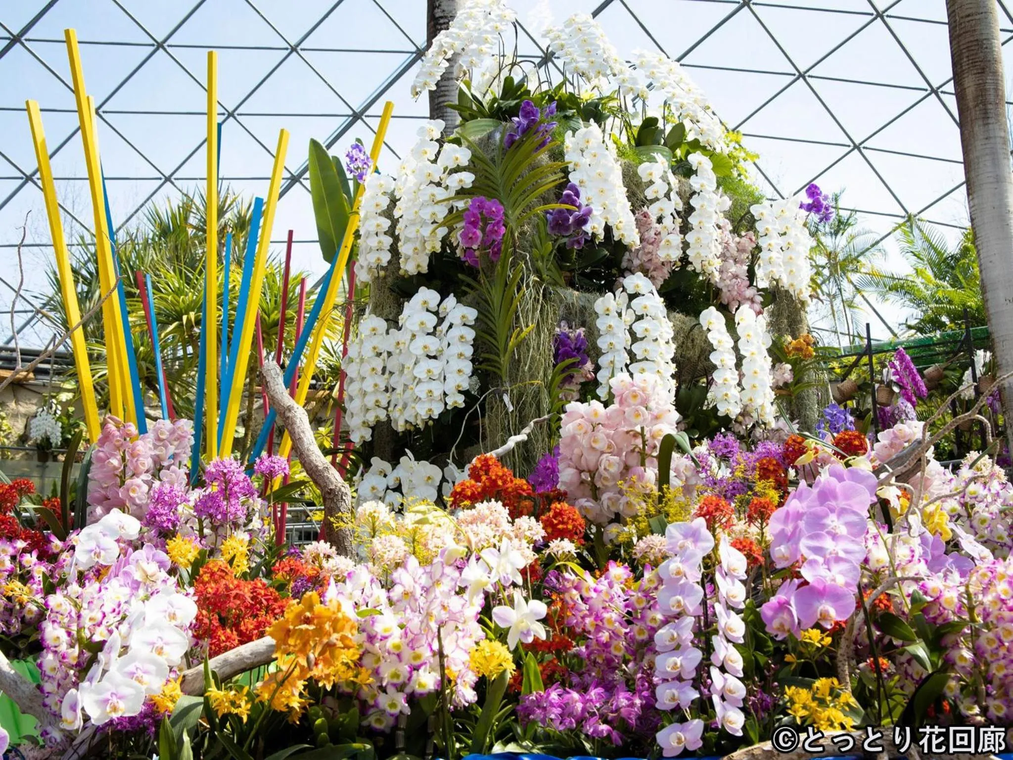 Nearby landmark in Misasa Royal Hotel