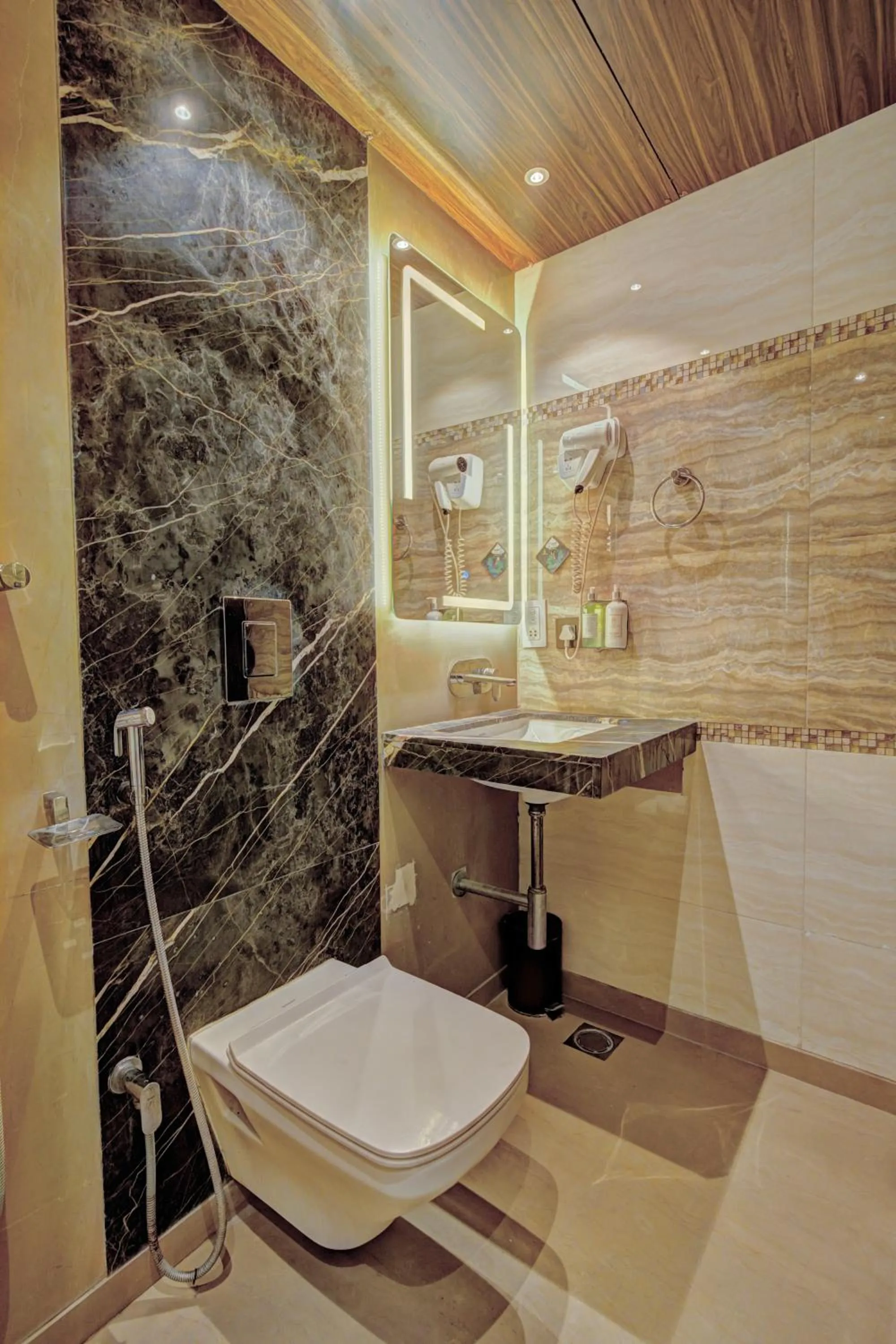 Shower in THE SINGH EMPIRE,New Delhi City Centre