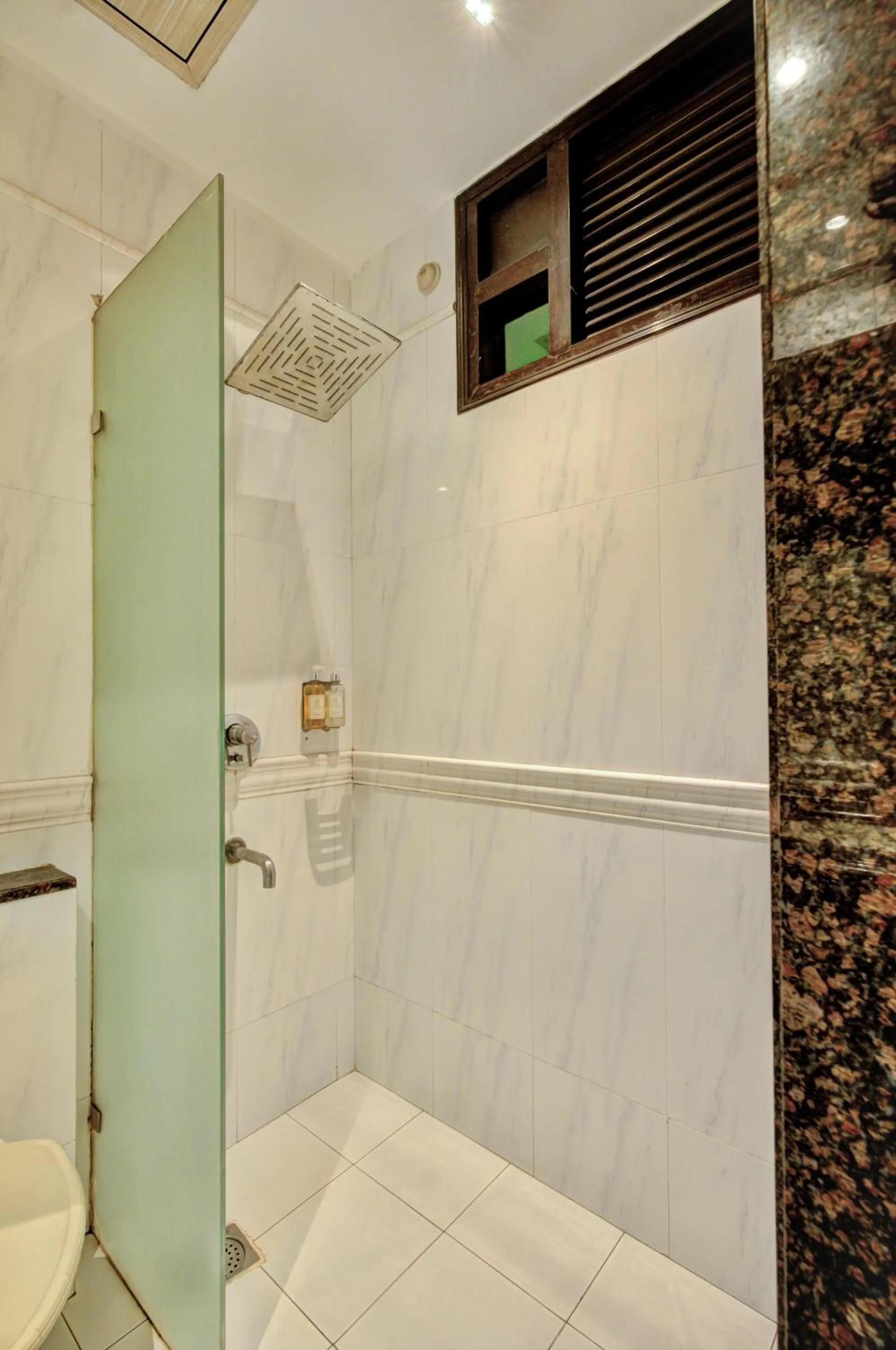 Shower in THE SINGH EMPIRE,New Delhi City Centre