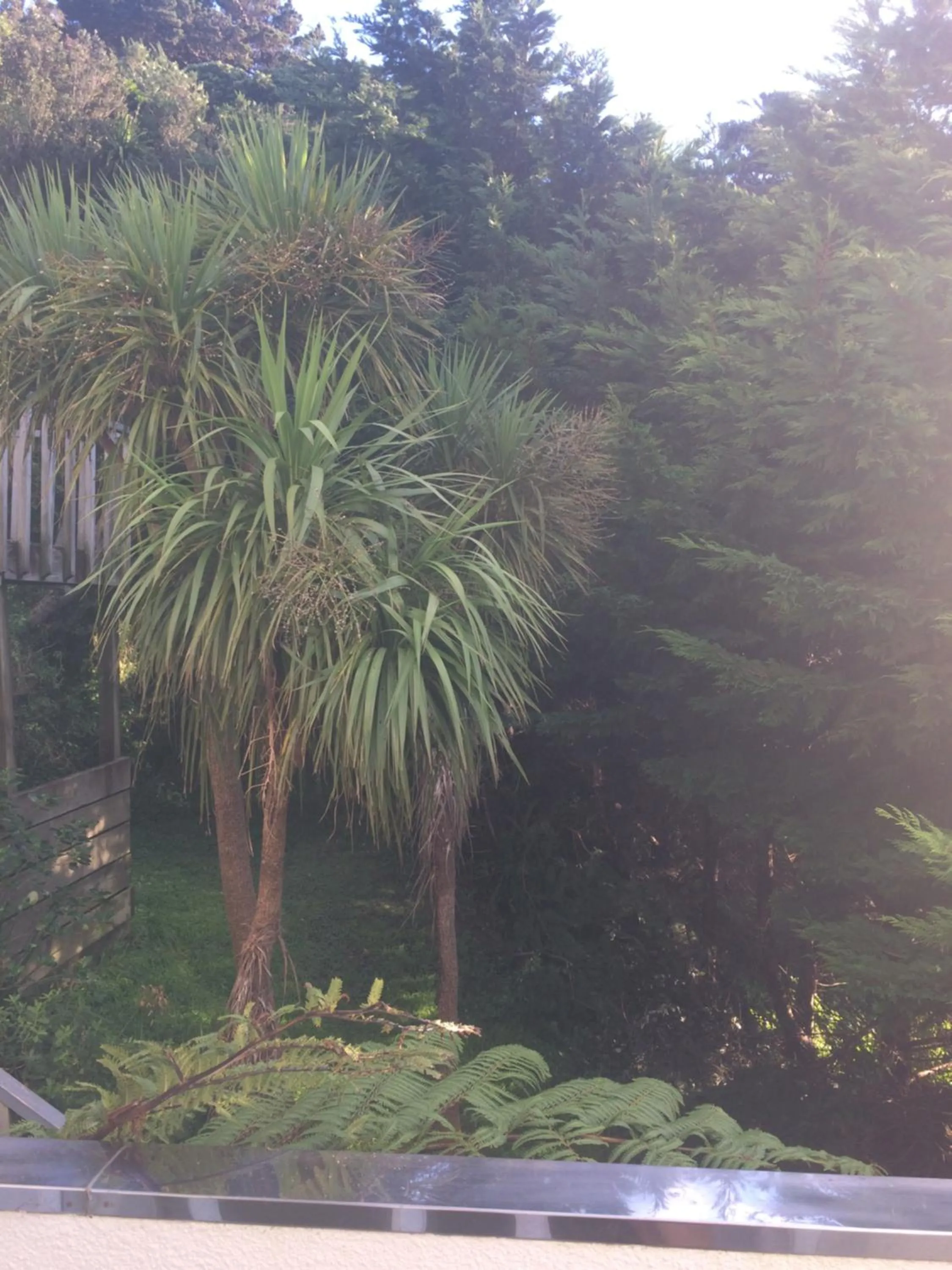 Garden view in Harbour Lodge Wellington