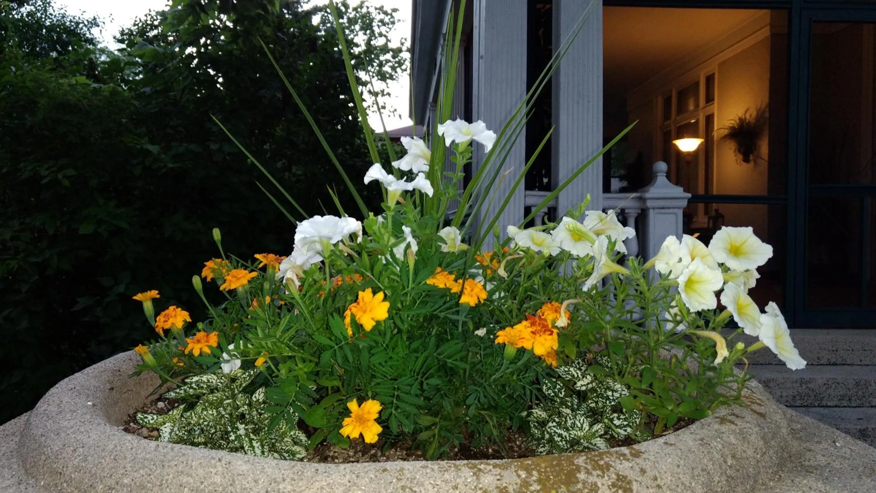 Alexander Mansion Bed and Breakfast