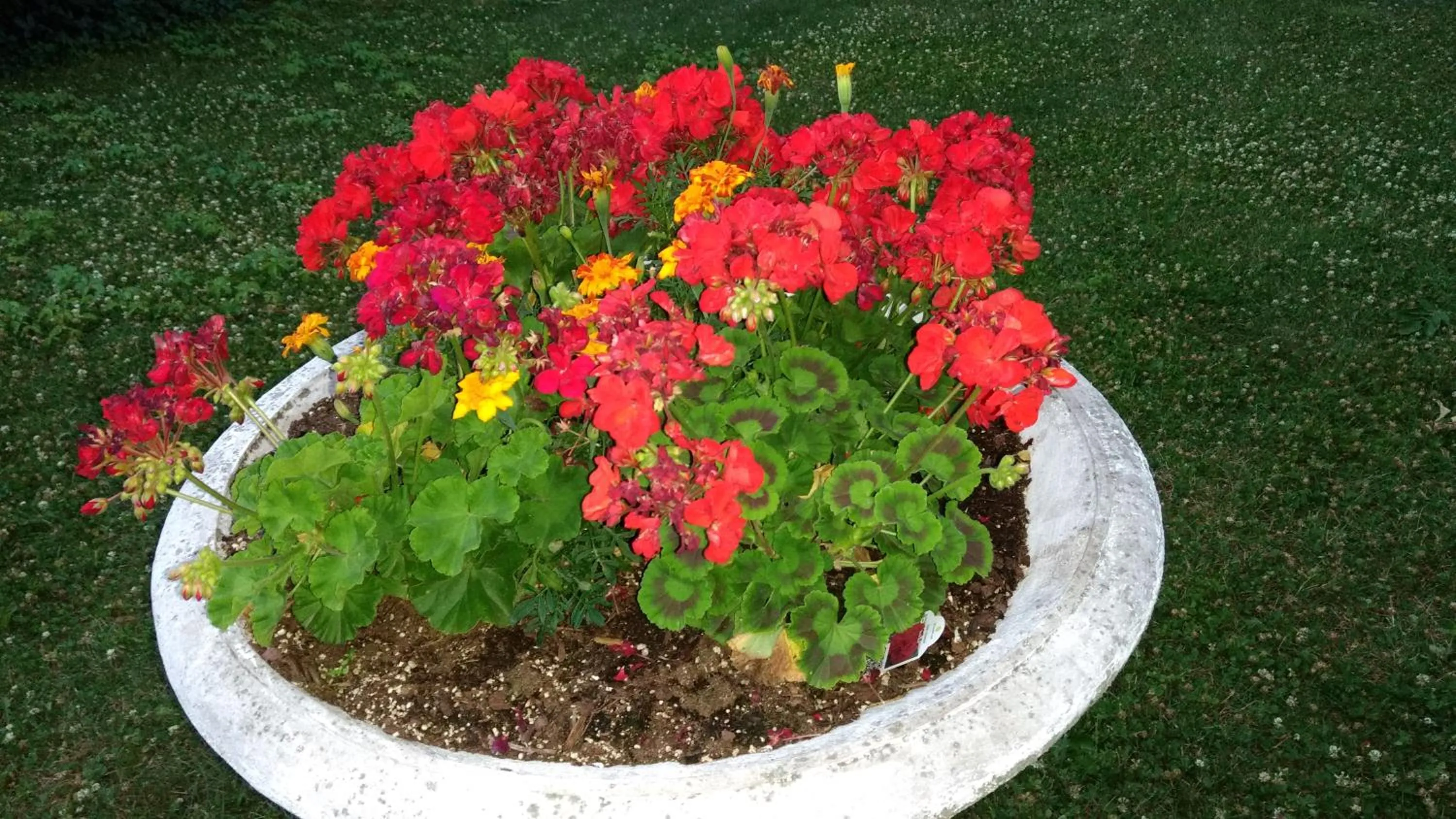 Alexander Mansion Bed and Breakfast