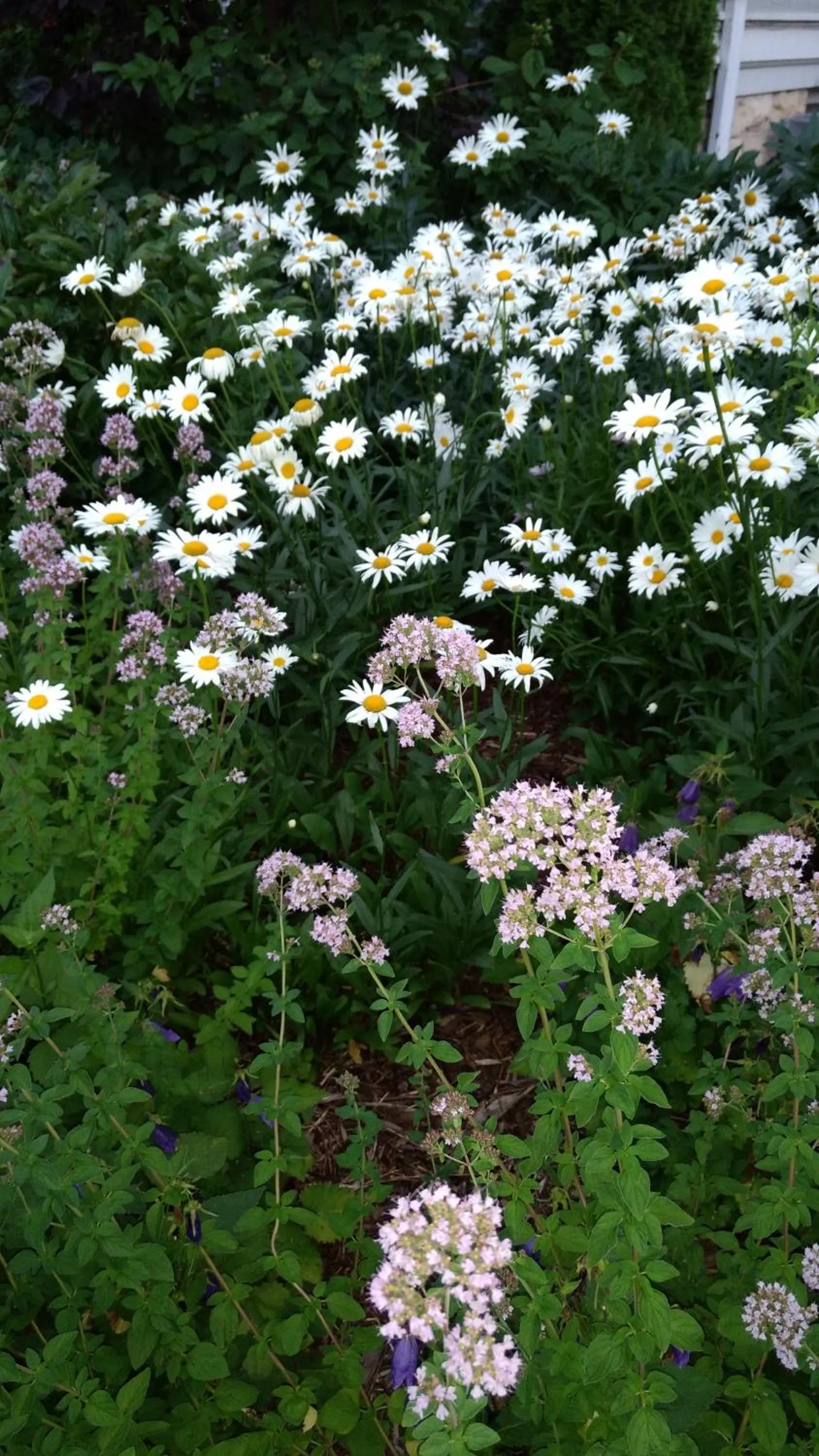 View (from property/room) in Alexander Mansion Bed and Breakfast