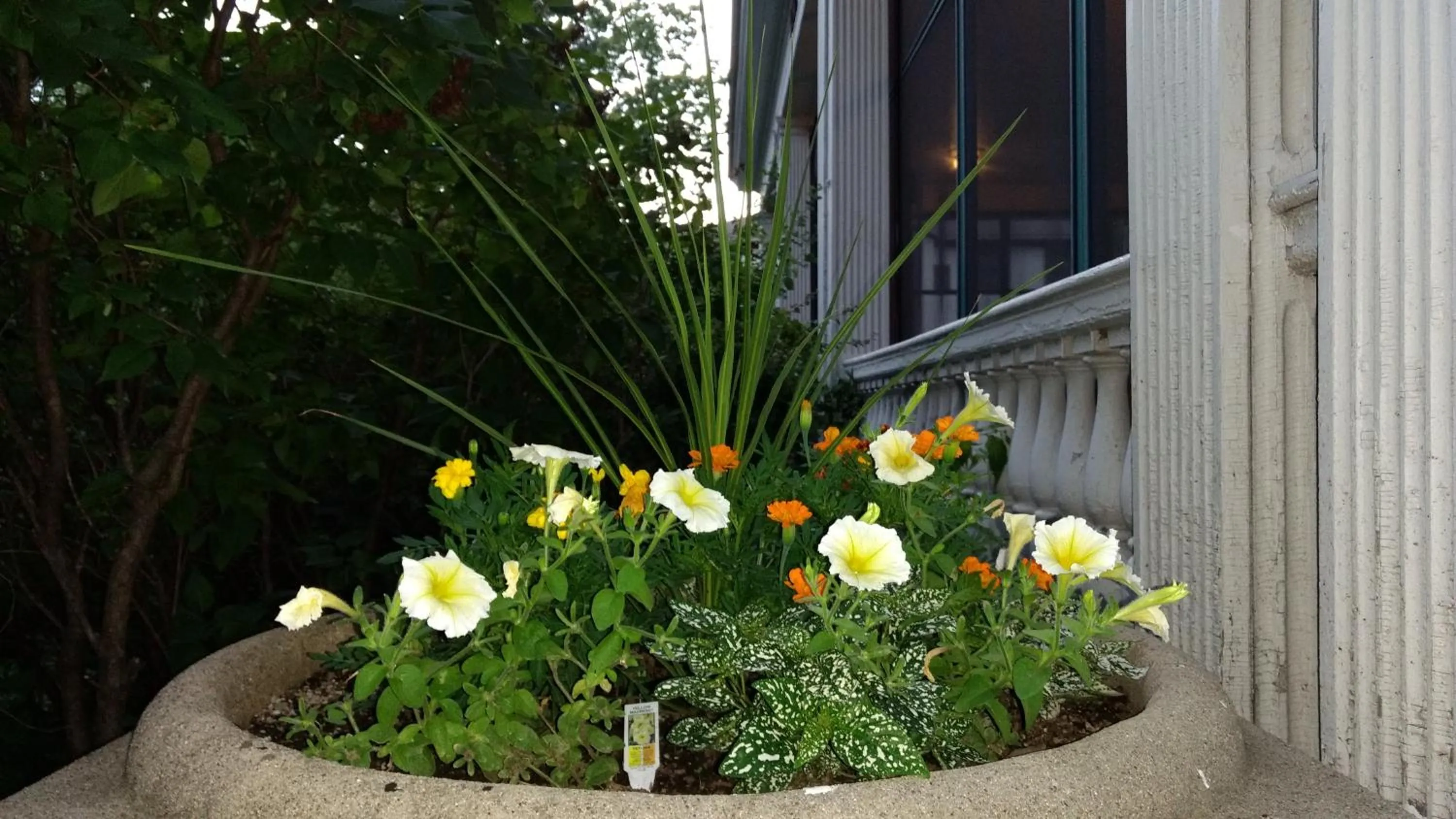 View (from property/room) in Alexander Mansion Bed and Breakfast