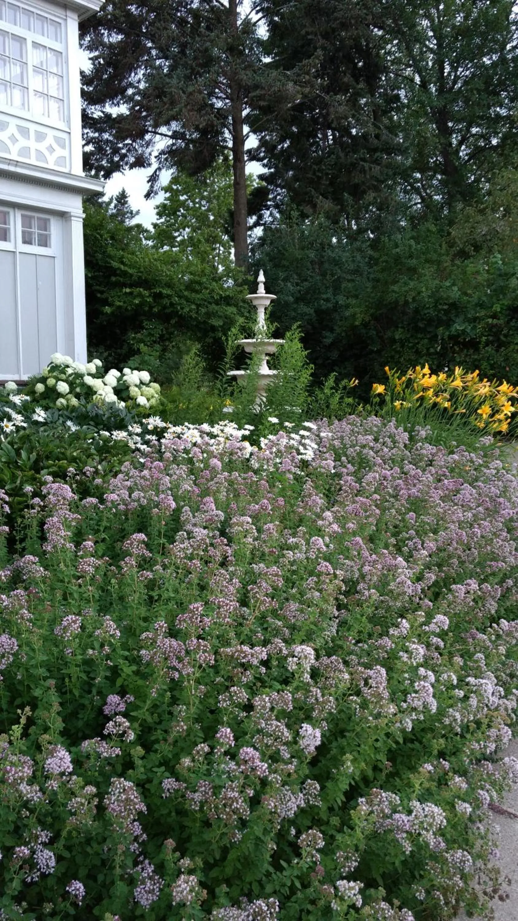 Alexander Mansion Bed and Breakfast