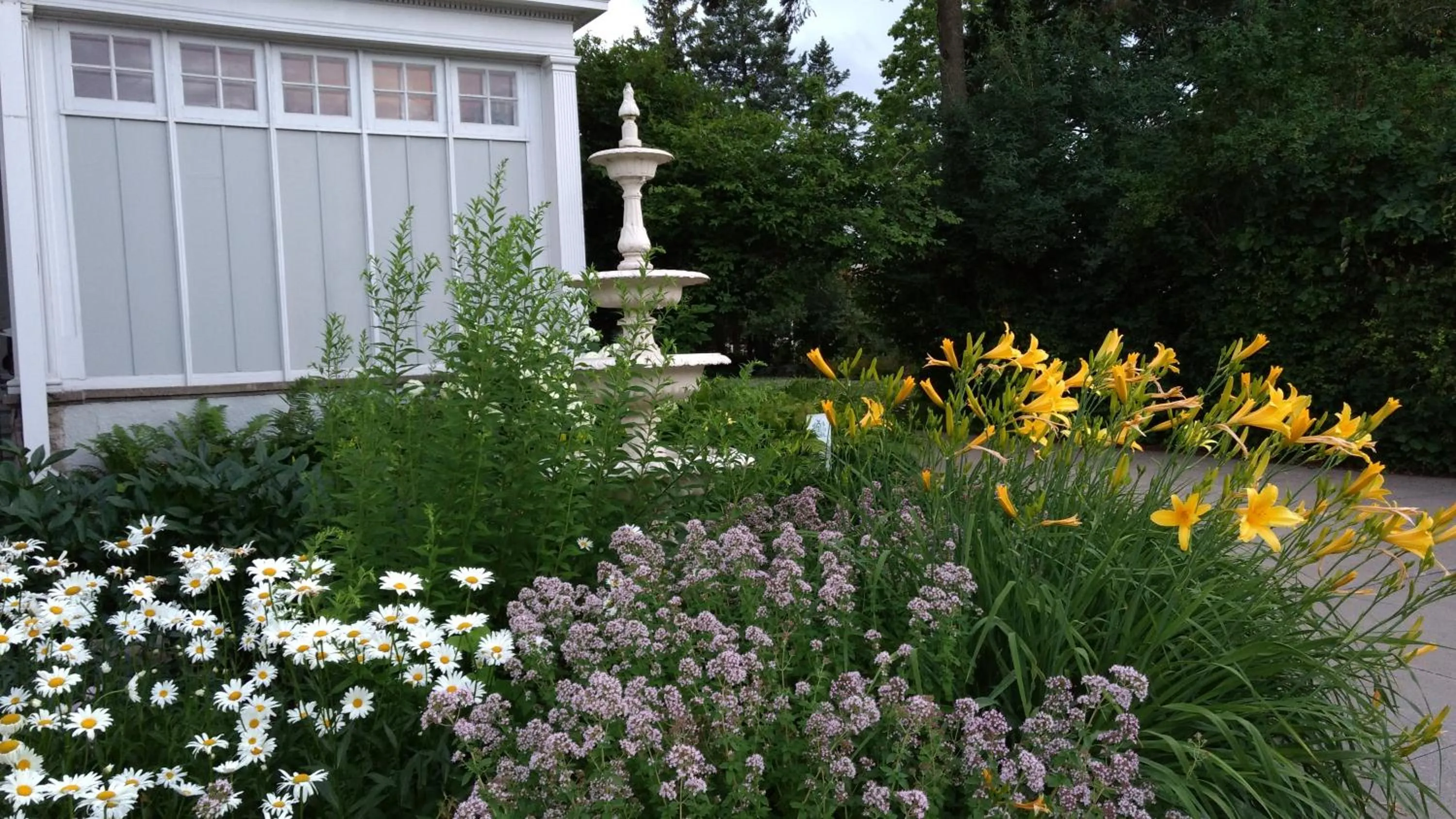 Alexander Mansion Bed and Breakfast