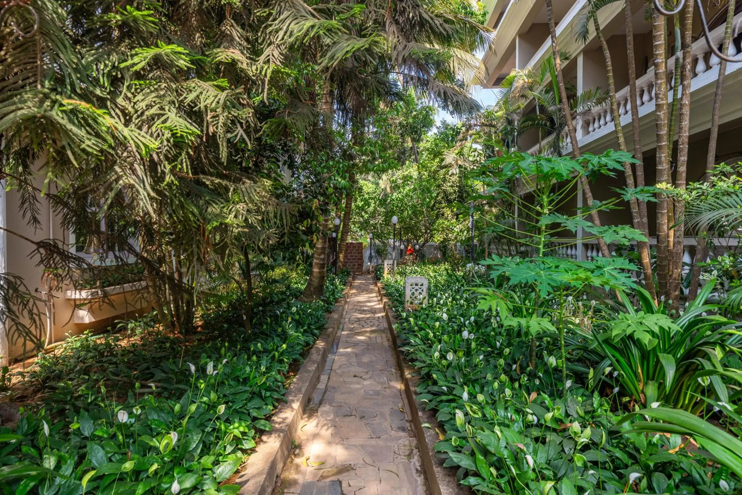 Garden in CALUX Joia Do Mar Resort - Calangute