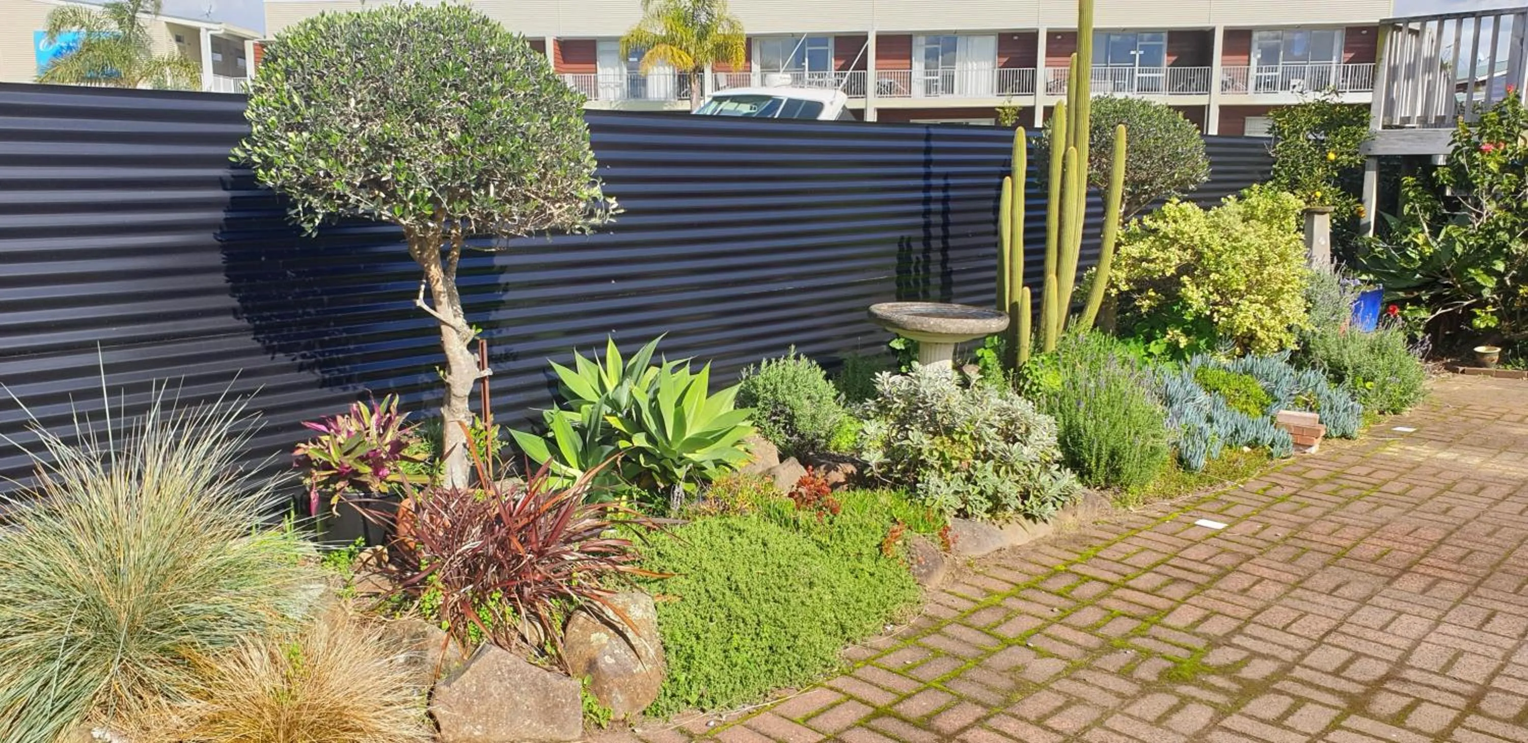 Garden in Blue Marlin Apartments