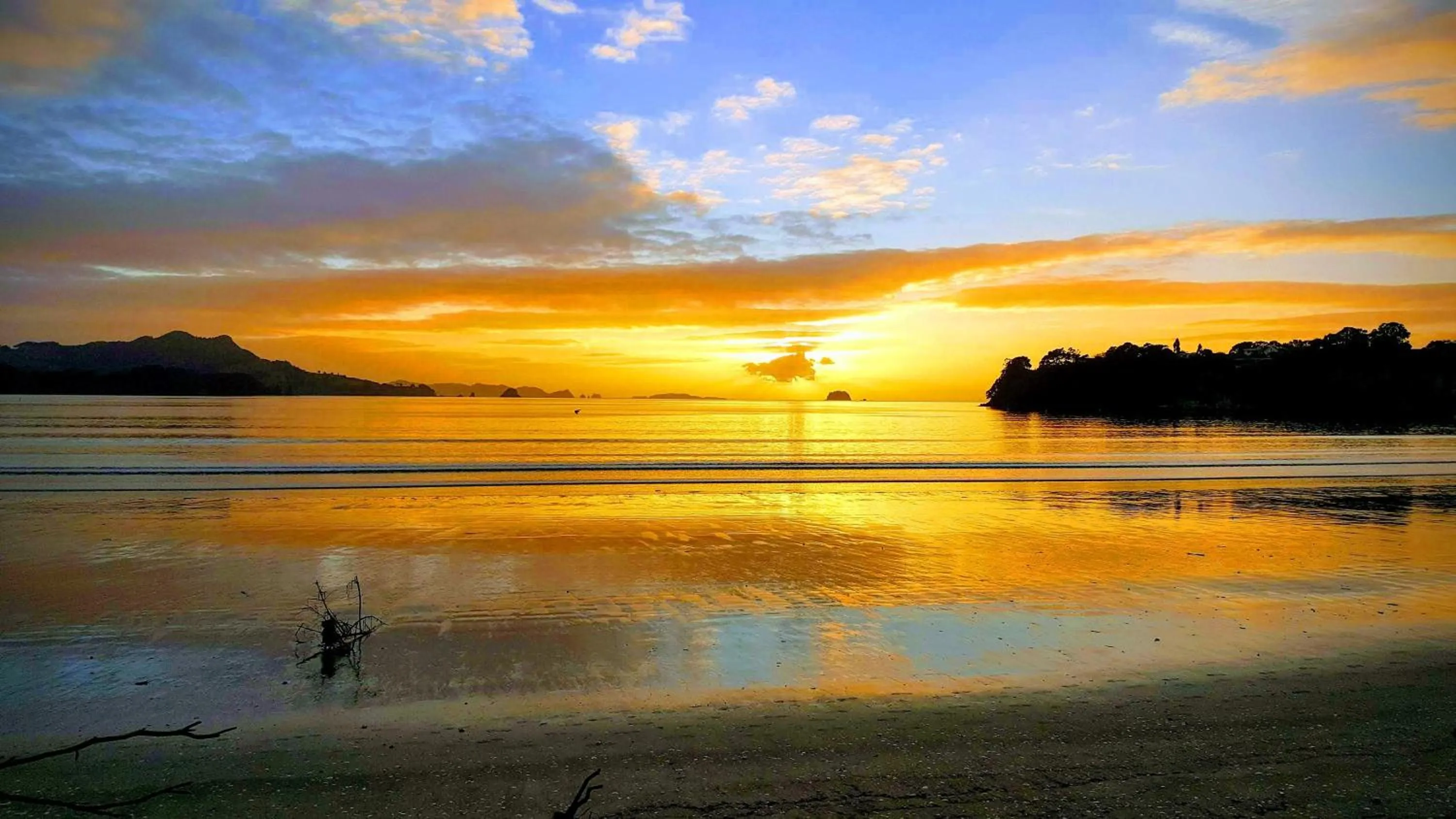 Beach in Blue Marlin Apartments