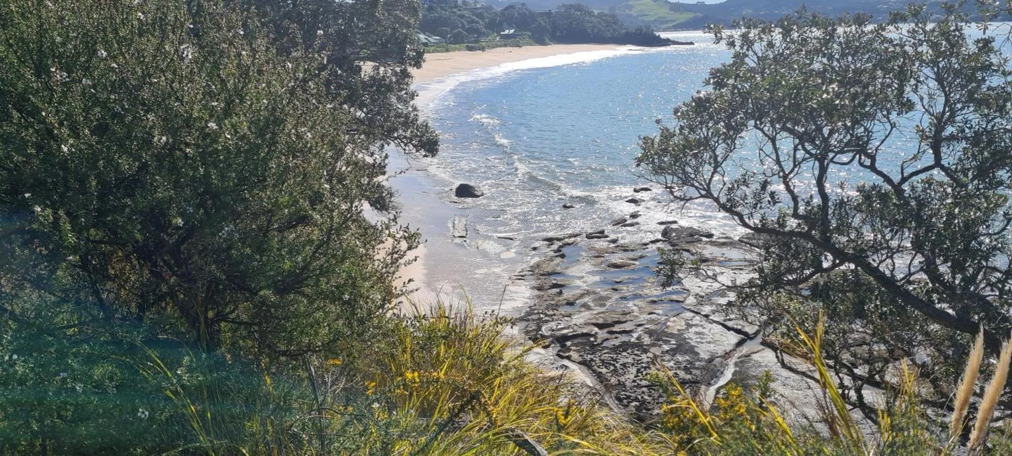 Natural landscape in Blue Marlin Apartments