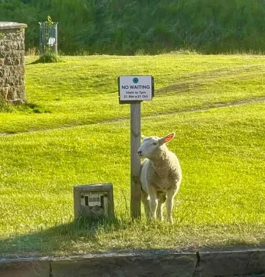 View (from property/room) in The Barn Guest House and Tearoom