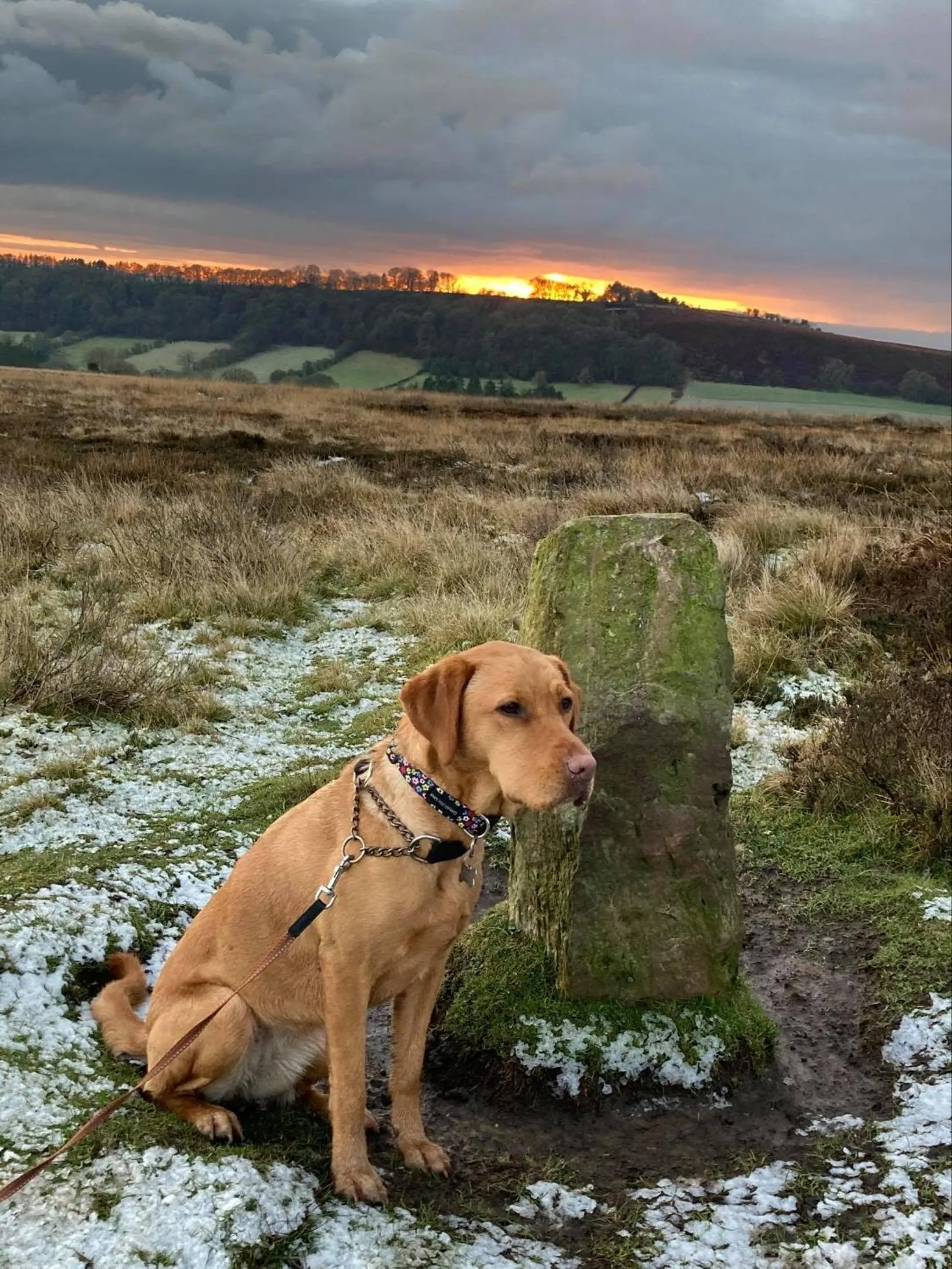 Neighbourhood in The Barn Guest House and Tearoom