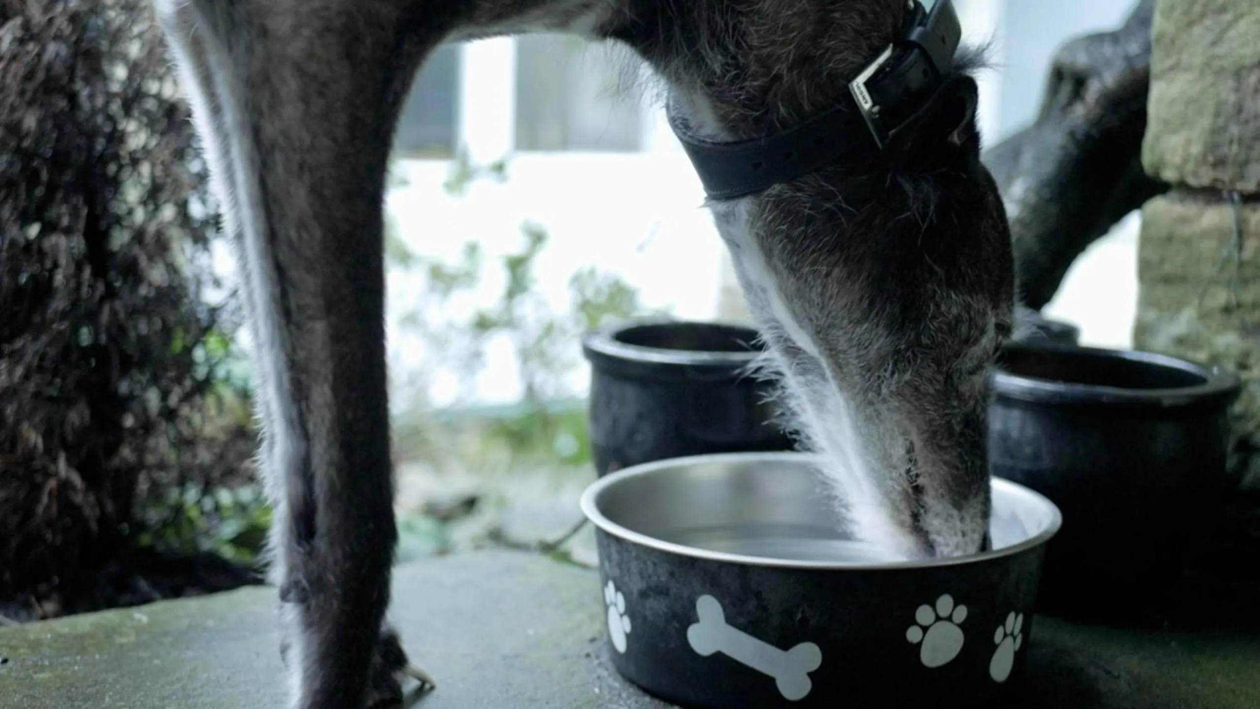 Garden in The Barn Guest House and Tearoom