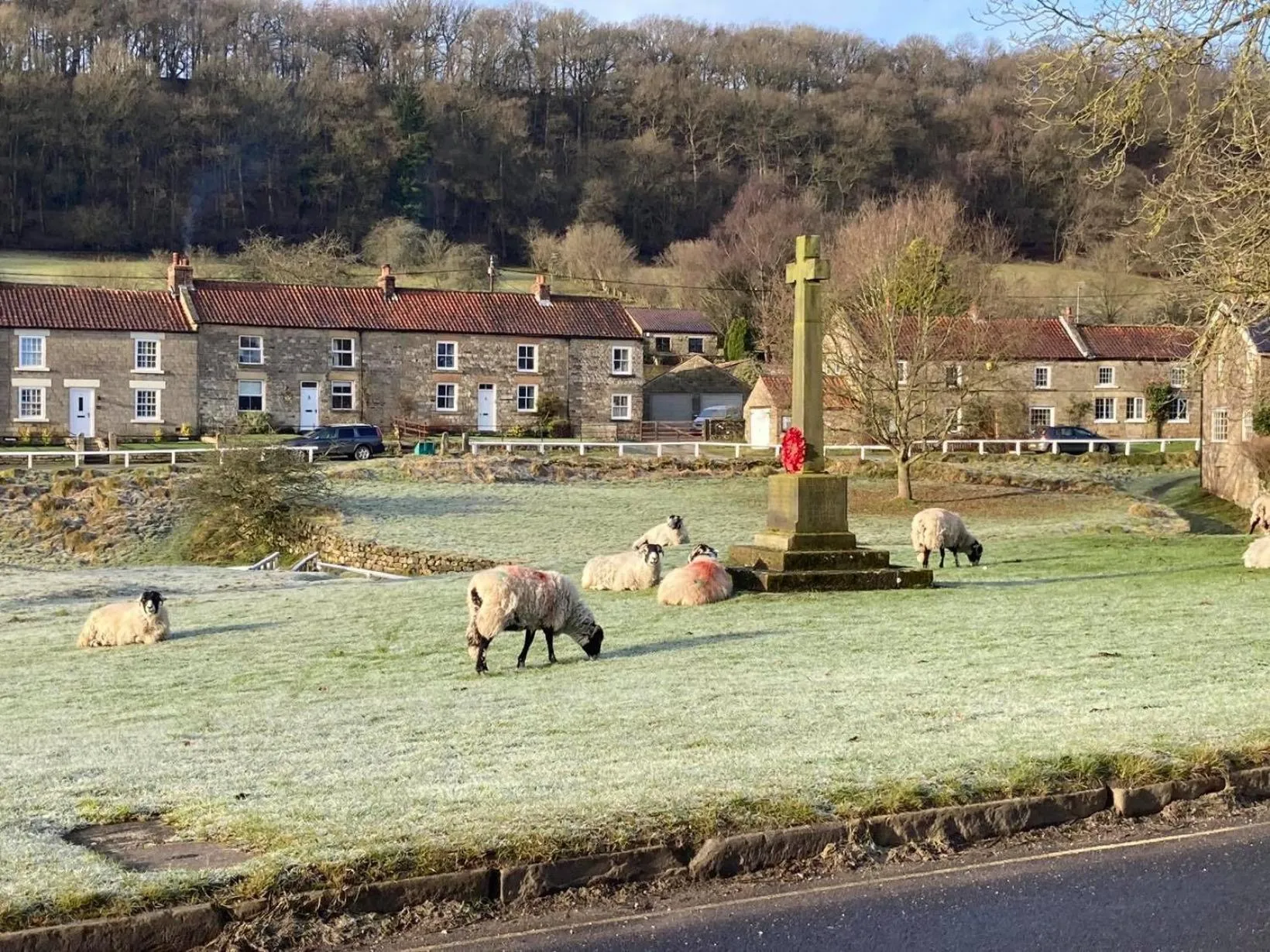 View (from property/room) in The Barn Guest House and Tearoom