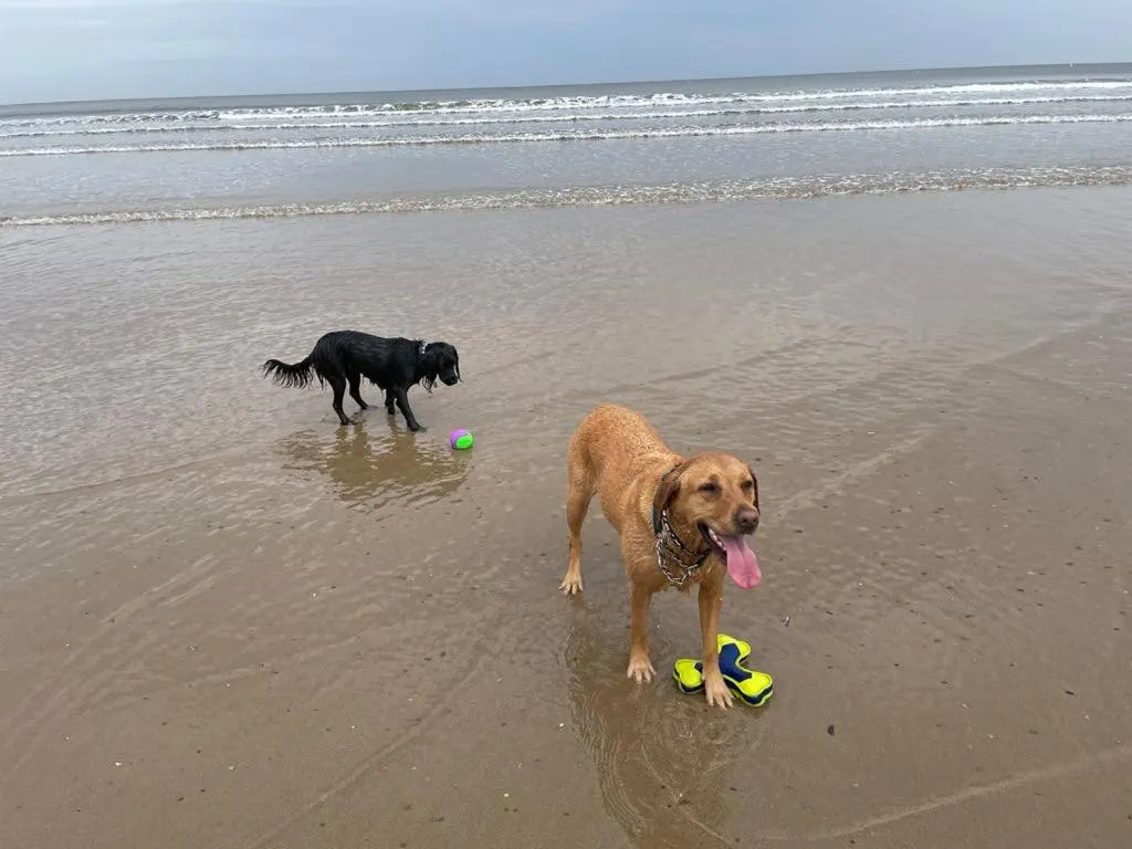 Beach in The Barn Guest House and Tearoom