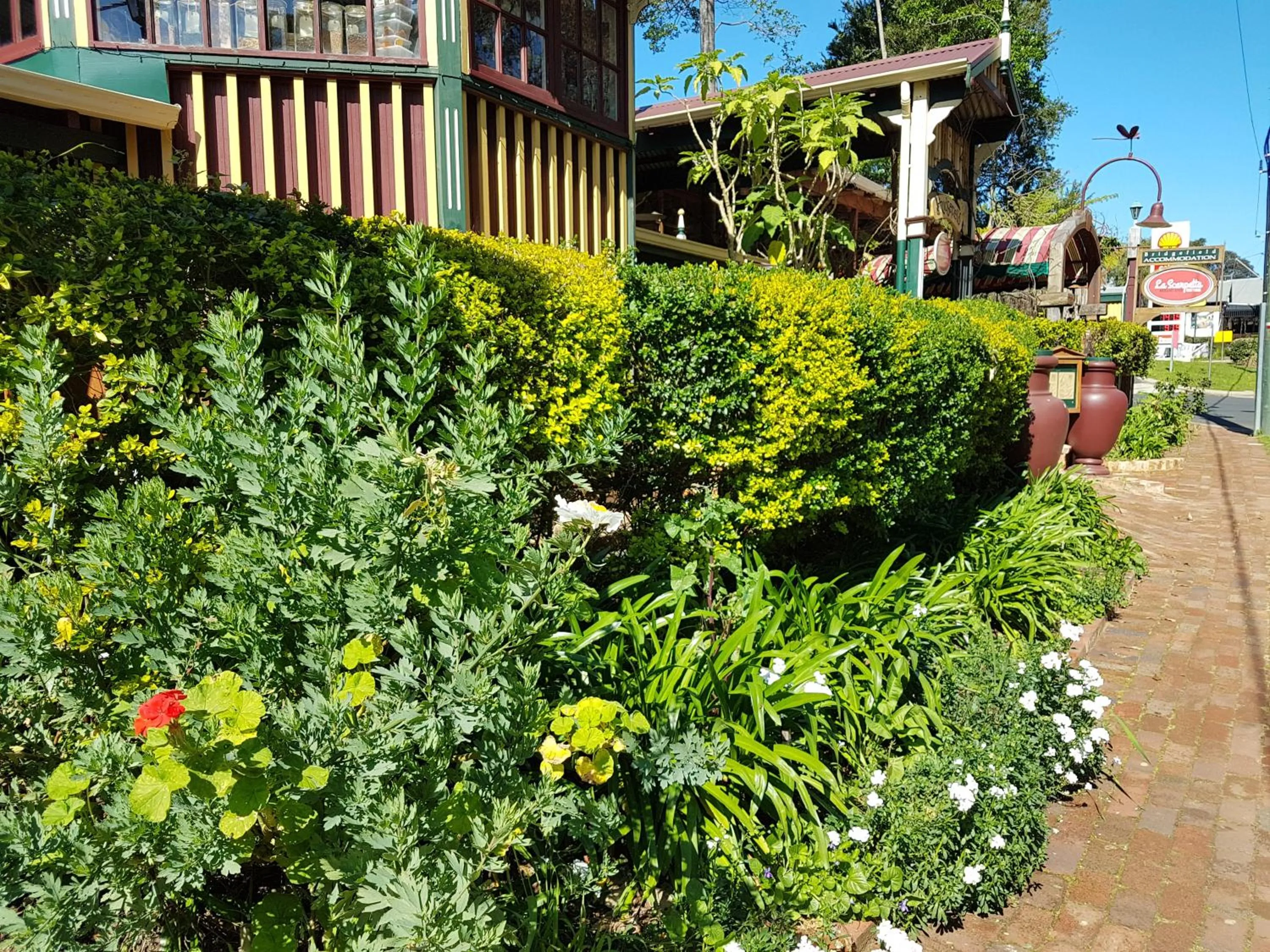Garden in Bridgefield Guest House