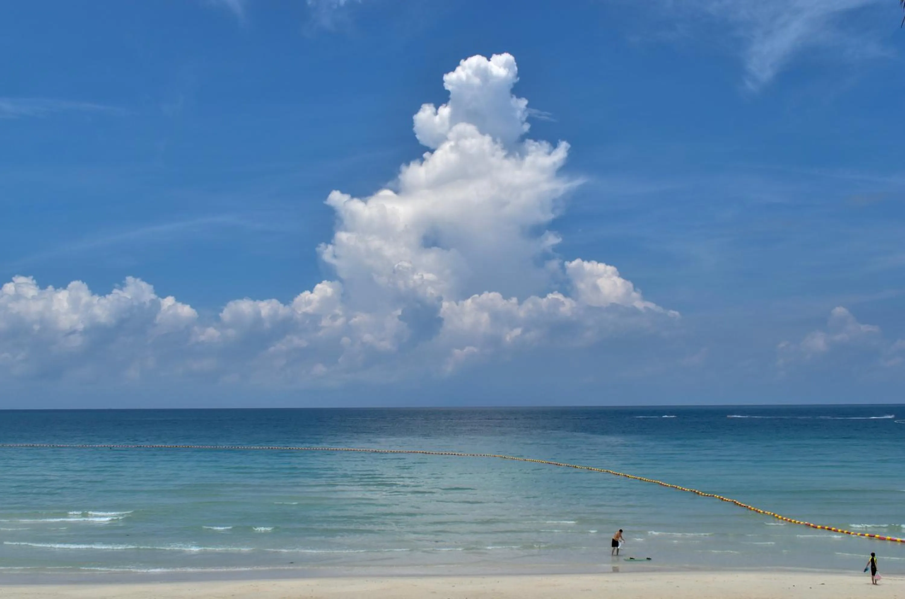 Natural landscape in Phangan Bayshore Resort Koh Phangan