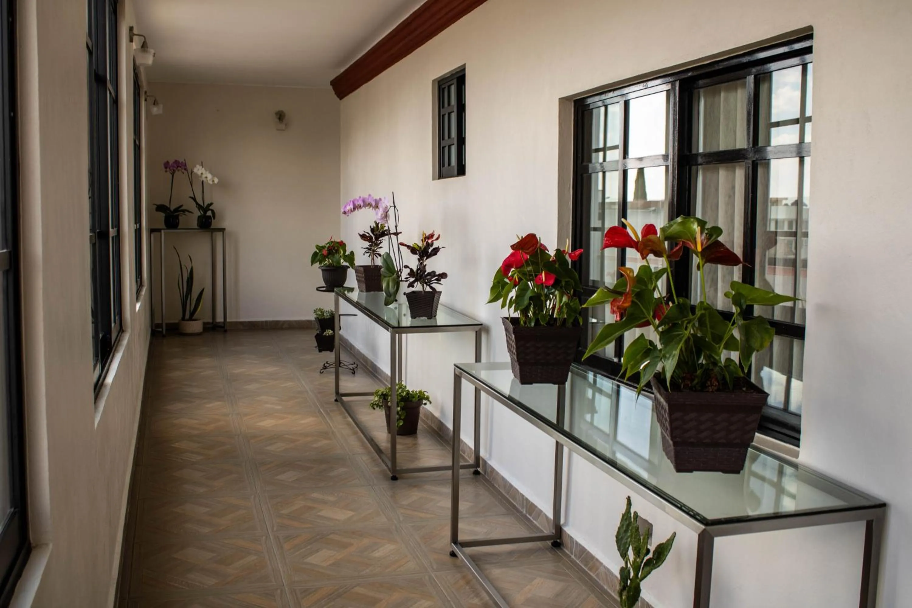 Mansion de los Abuelos