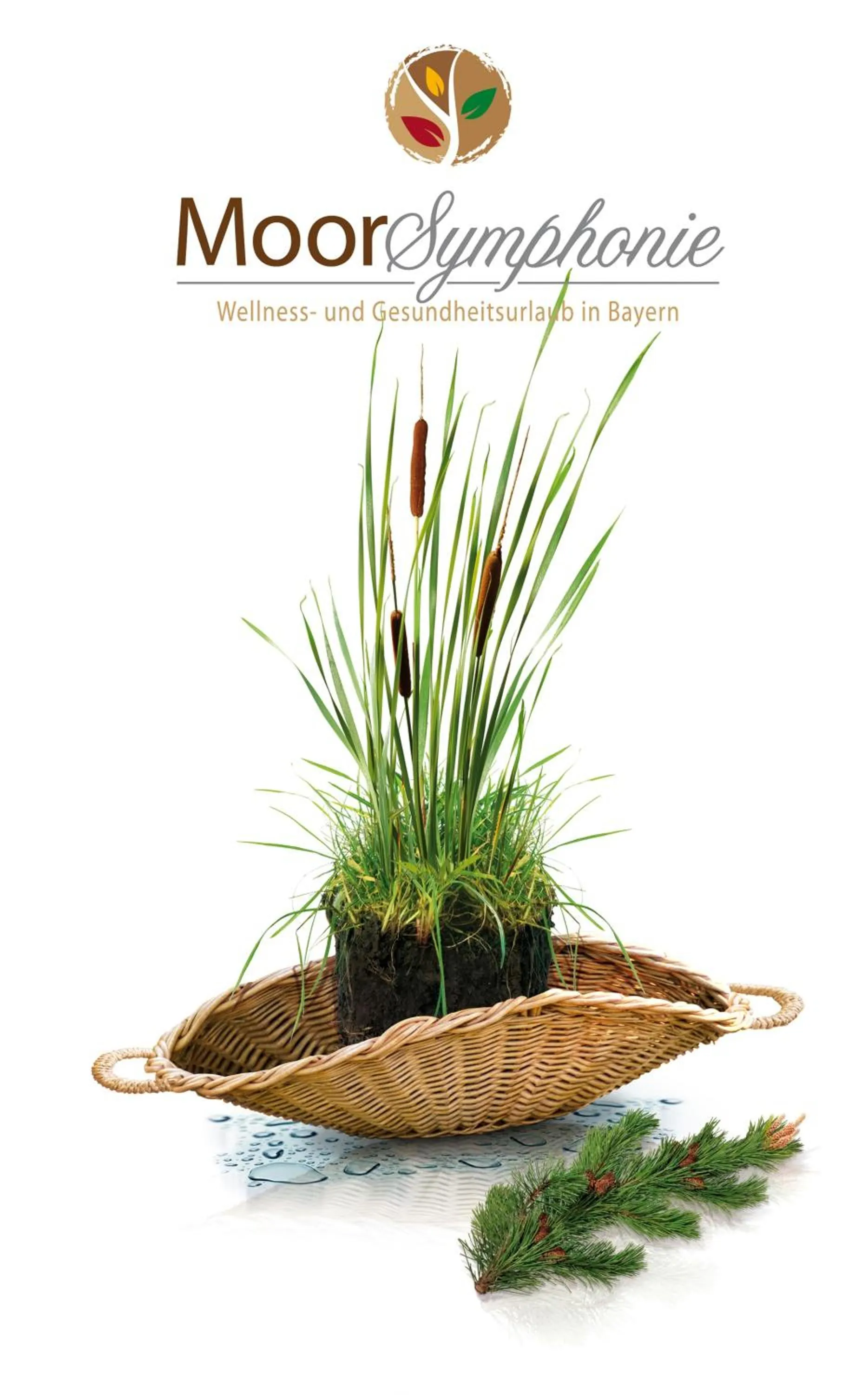 Property logo or sign in Hotel am Wiesenhang - Garni