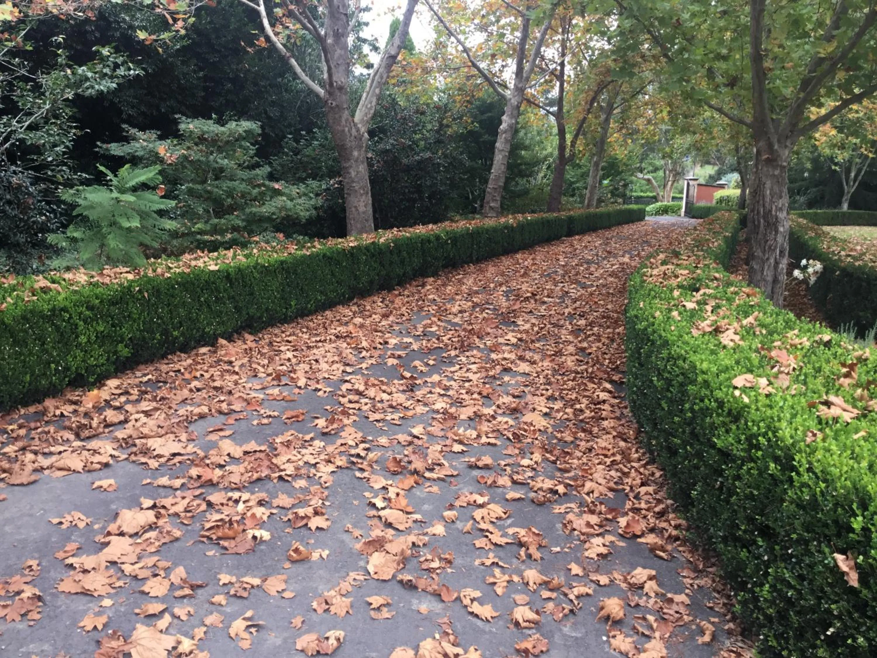 Chanticleer Gardens Barn cottage with a Pool