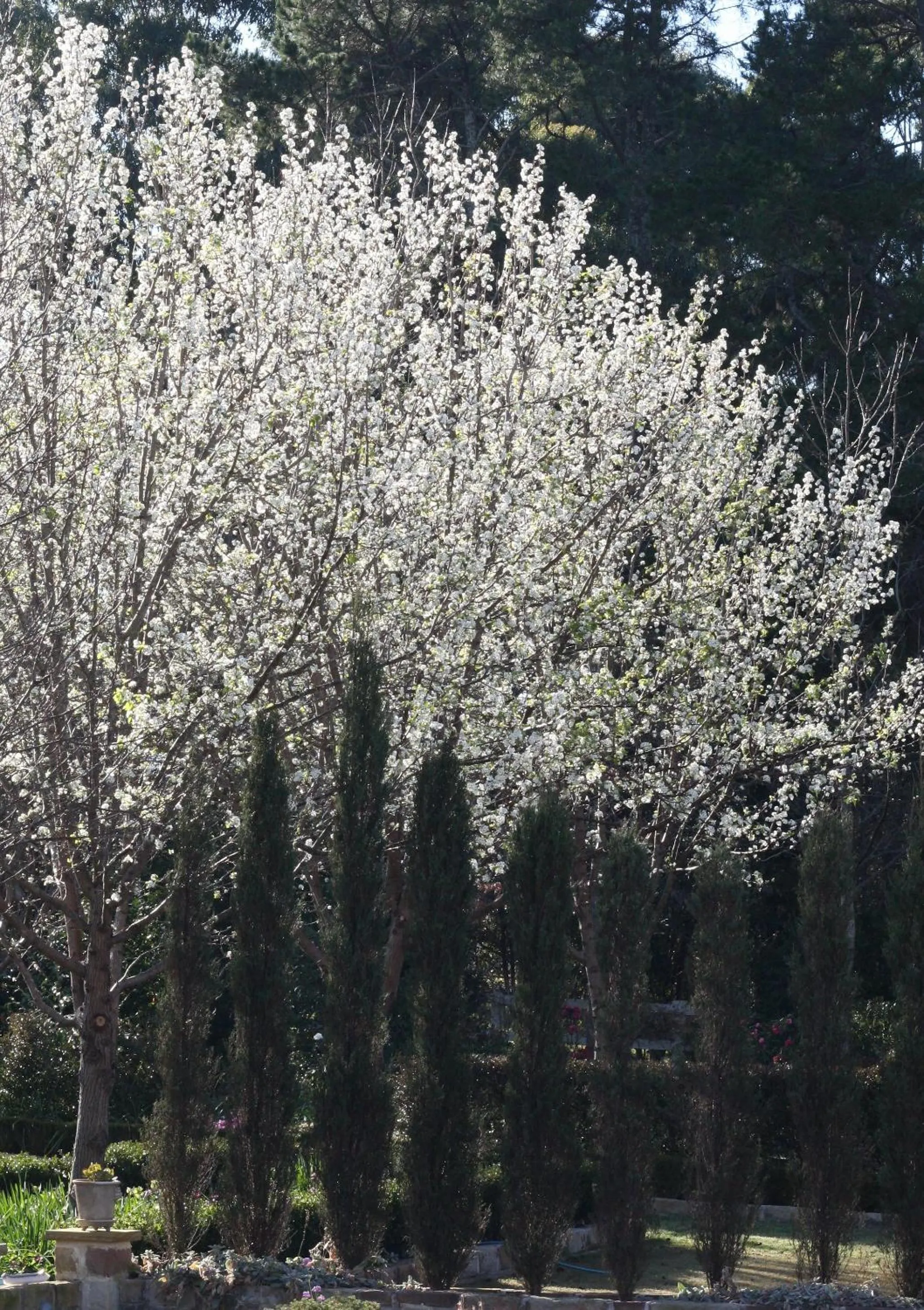 Spring in Chanticleer Gardens Barn cottage with a Pool