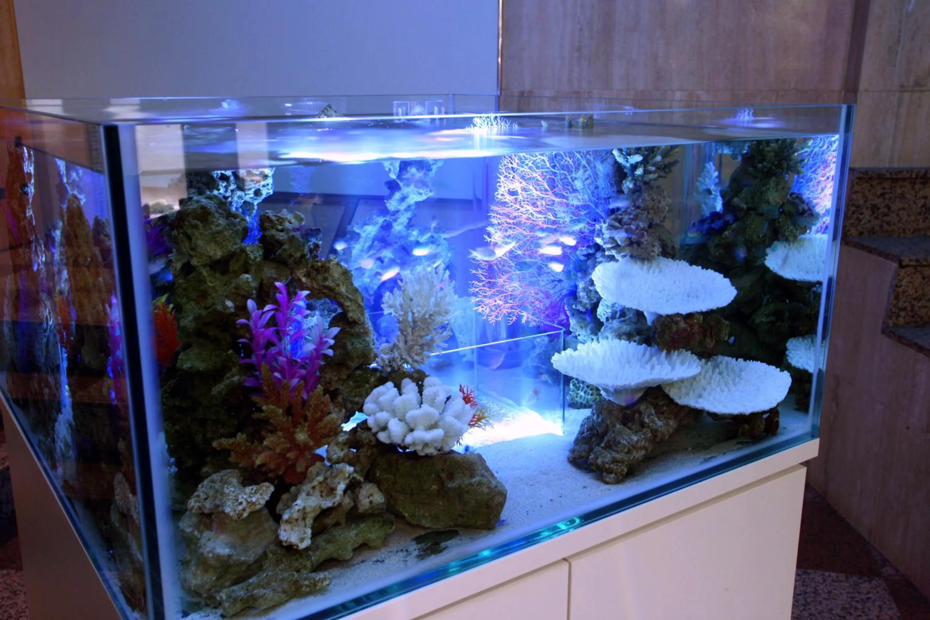 Other in Hotel AQUA Blue Yokosuka (Adult Only)