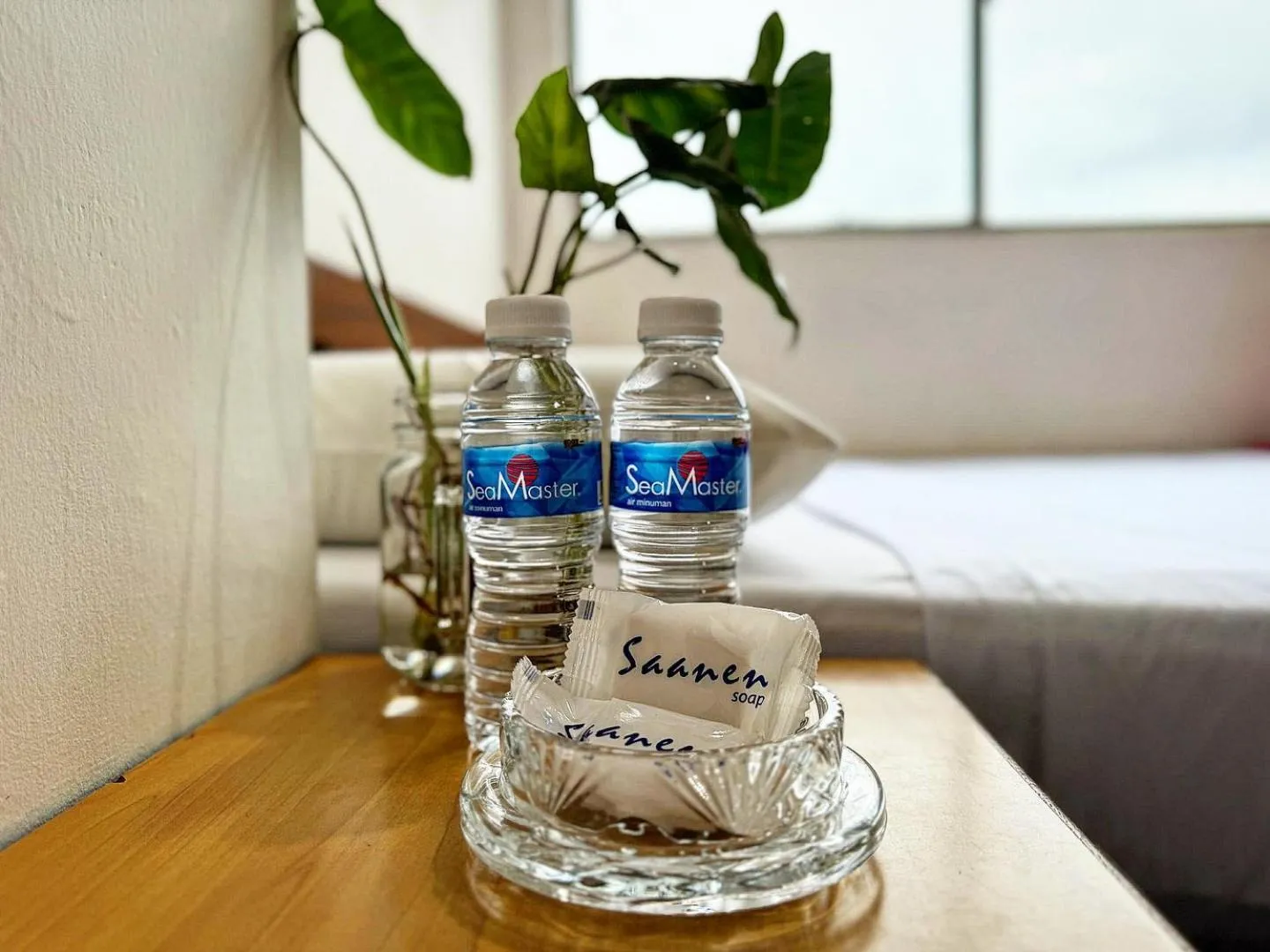 Drinks in Town Inn Hotel - Rainforest