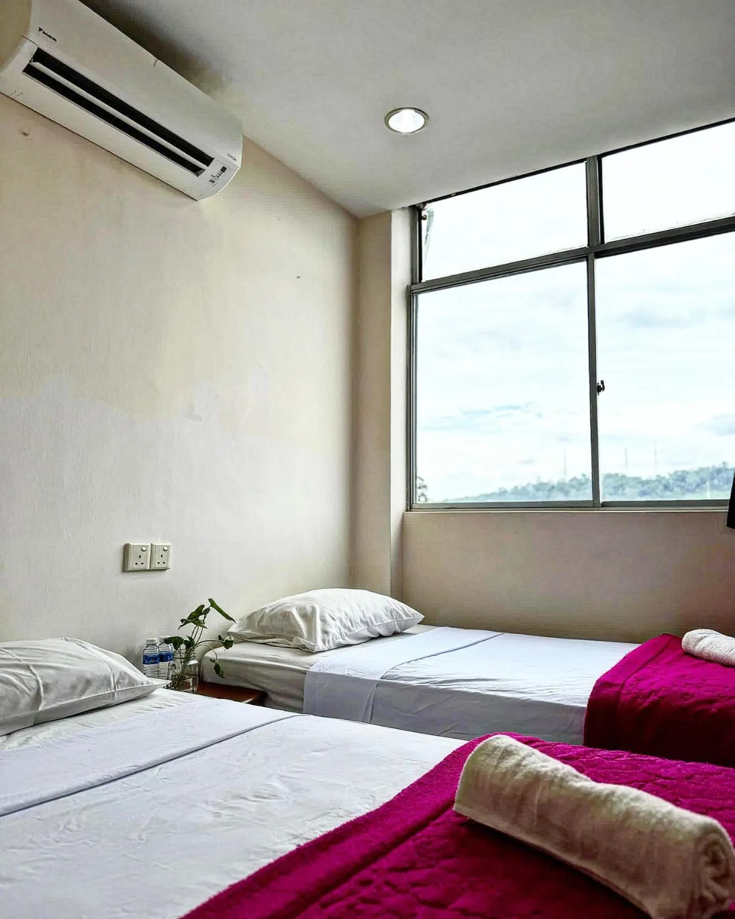 Bed in Town Inn Hotel - Rainforest