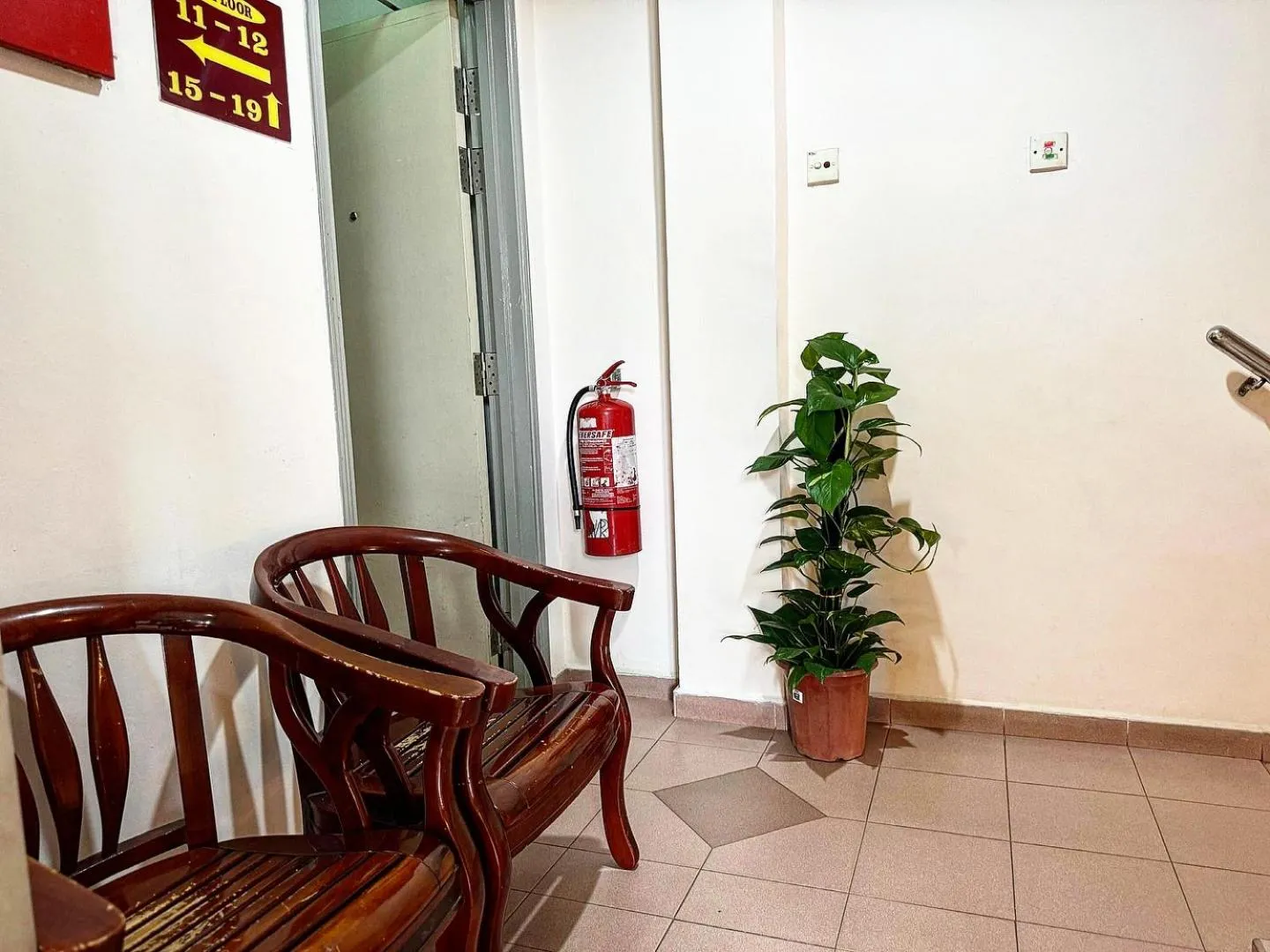 Town Inn Hotel - Rainforest