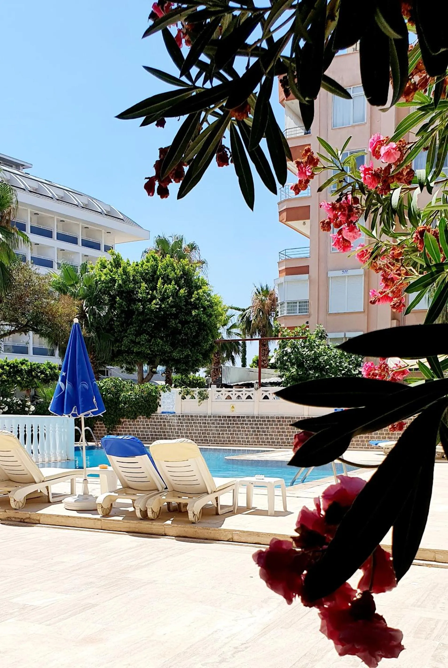 Swimming pool in Palmen Apart Hotel