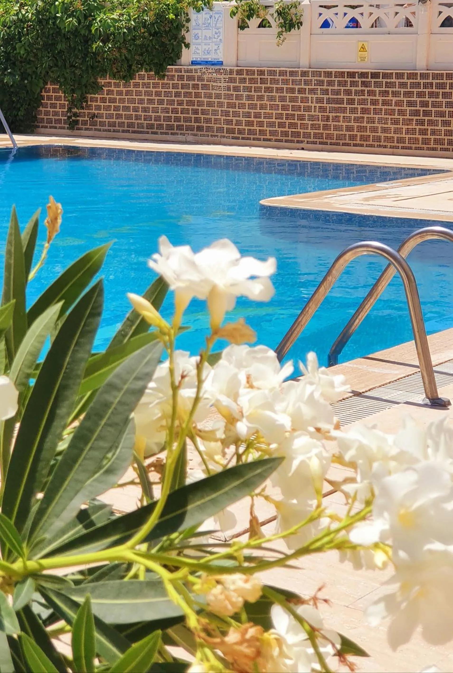 Swimming pool in Palmen Apart Hotel