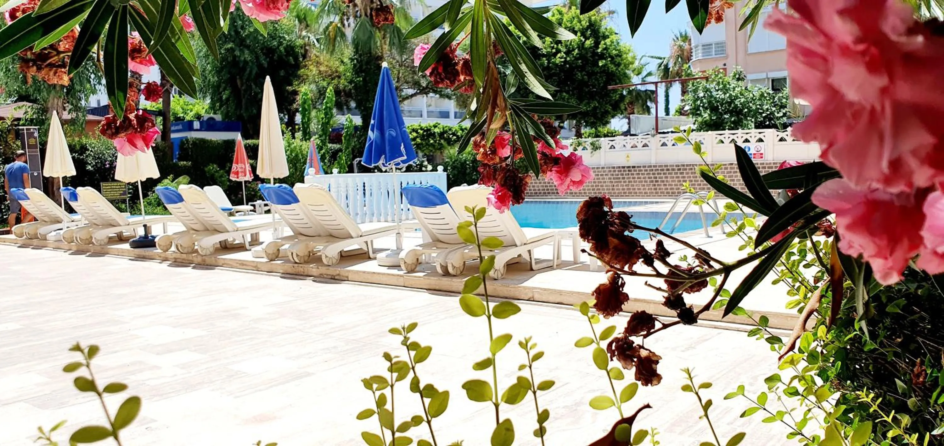 People in Palmen Apart Hotel