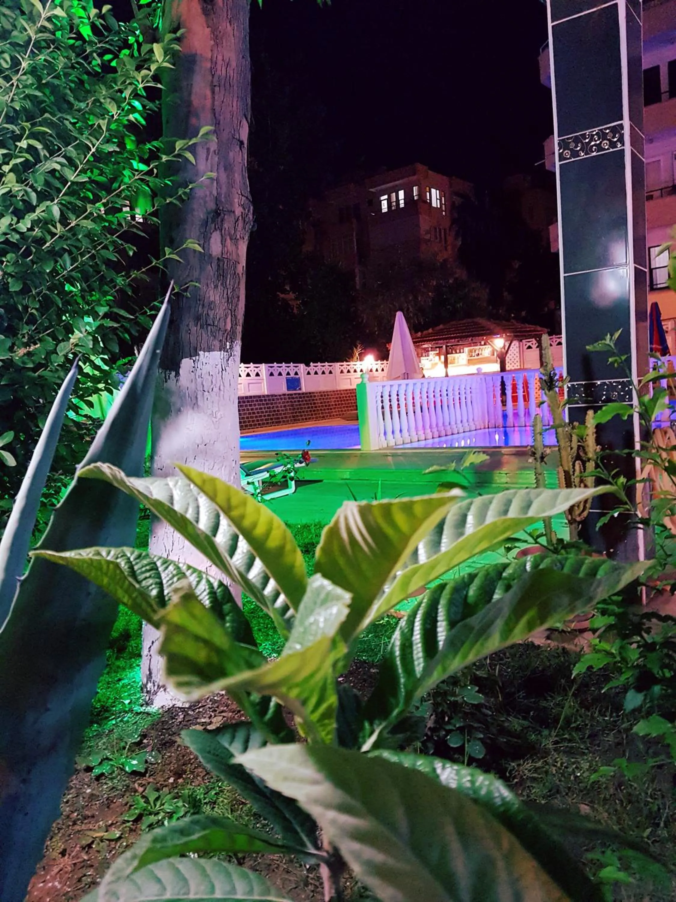 Garden view in Palmen Apart Hotel