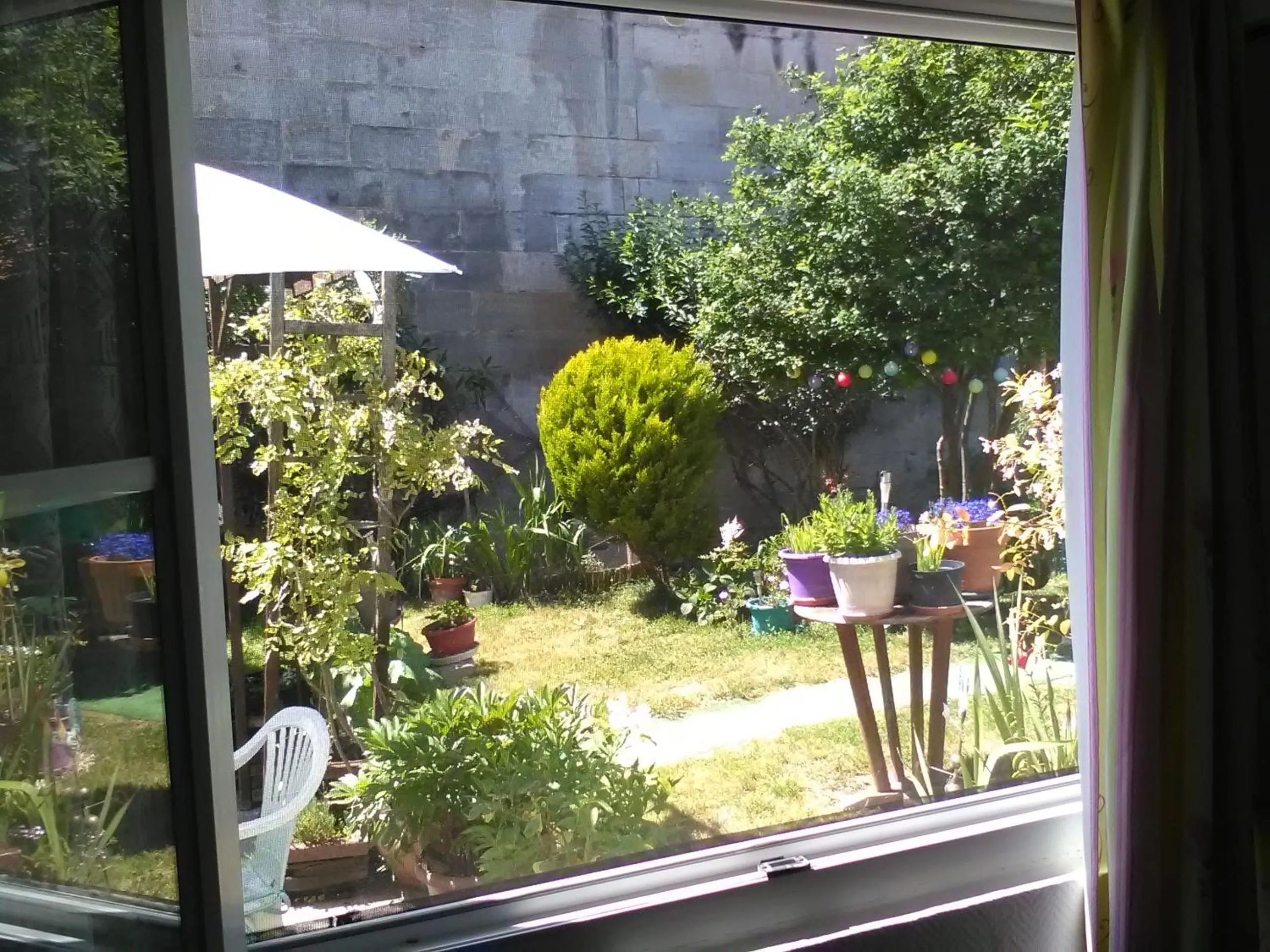 Garden view in Le Parisien