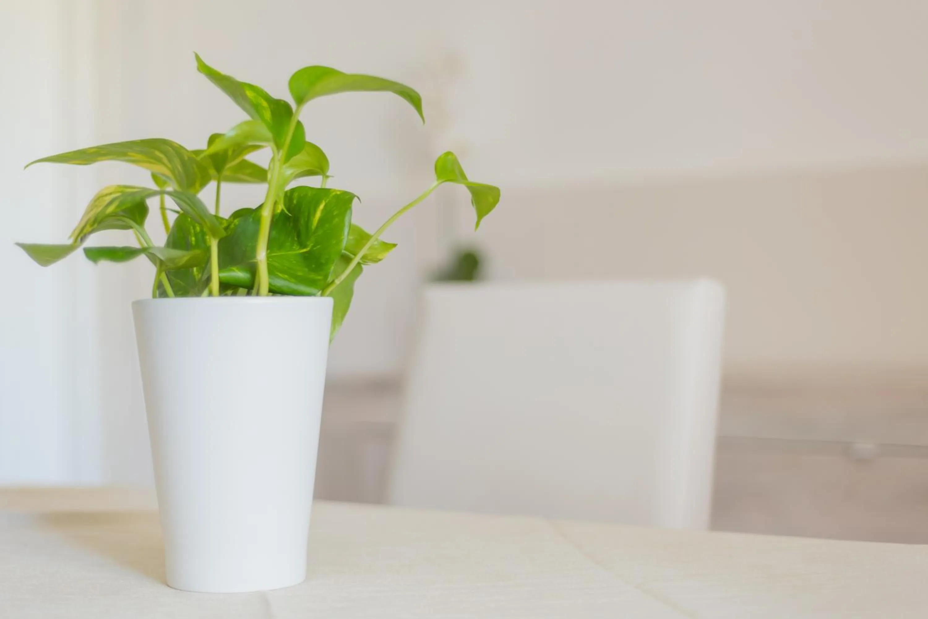 Other in B&B BOUTIQUE DI CHARME "ETNA-RELAX-NATURA"