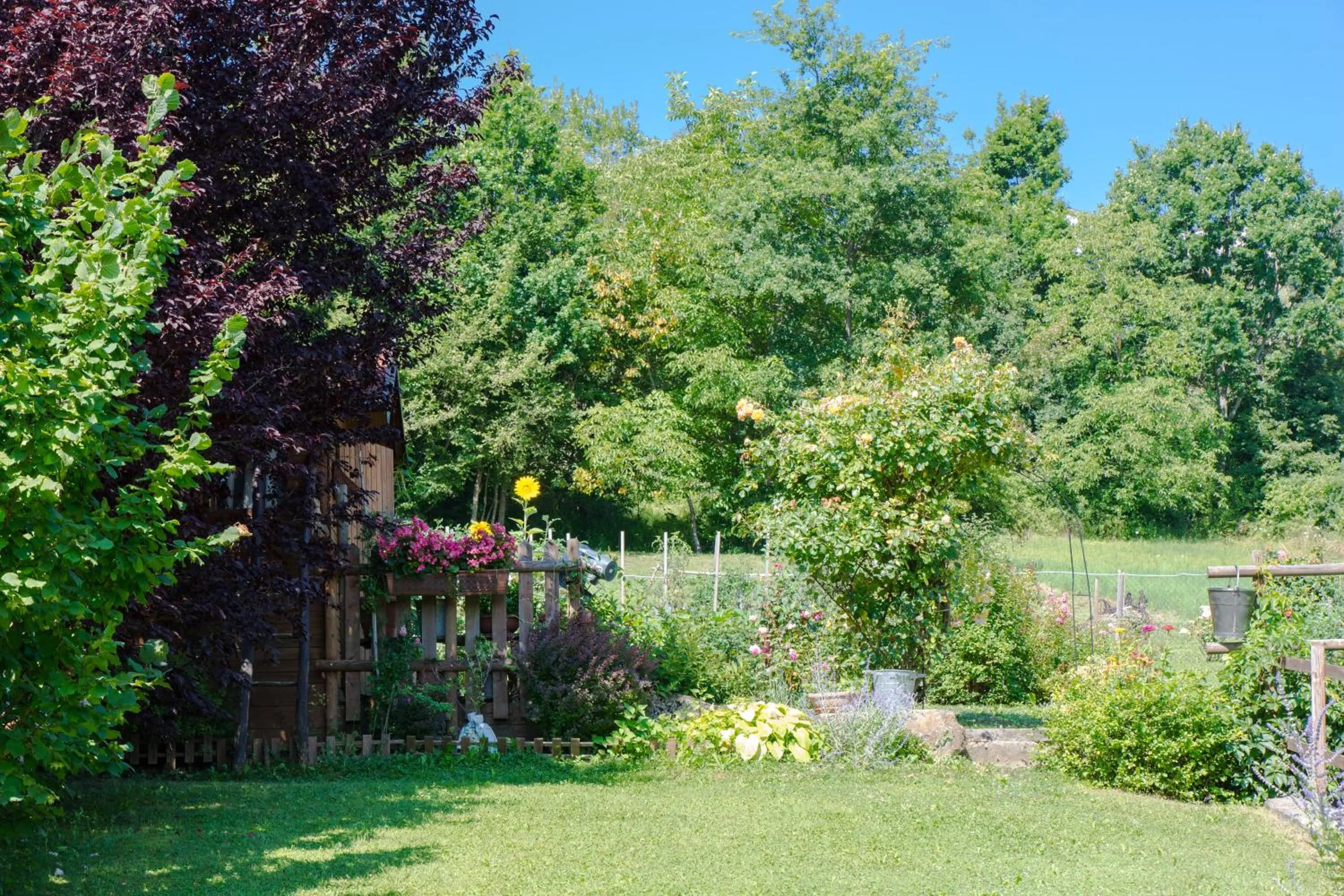 Garden in B&B La Provenzale