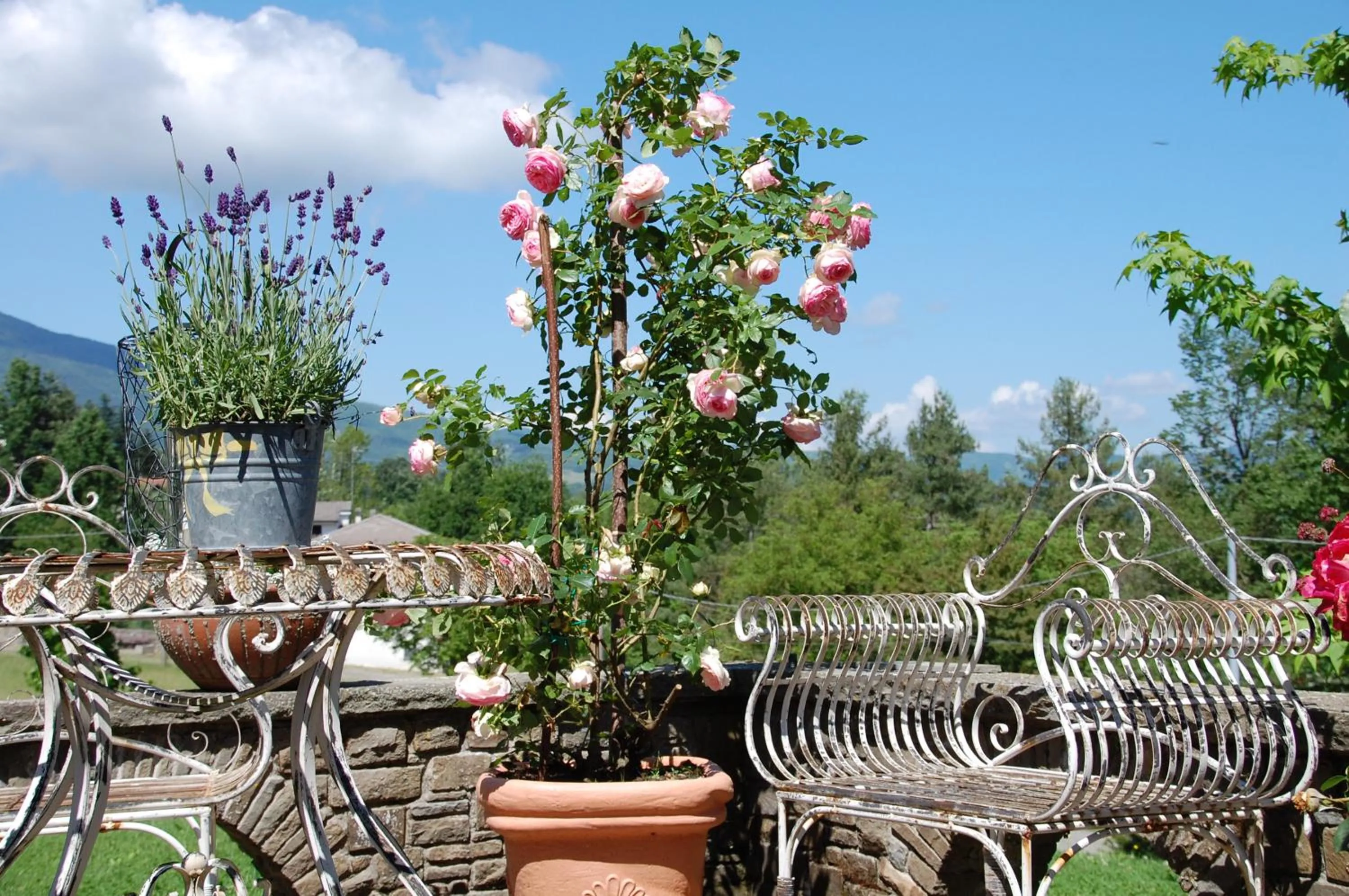 Patio in B&B La Provenzale