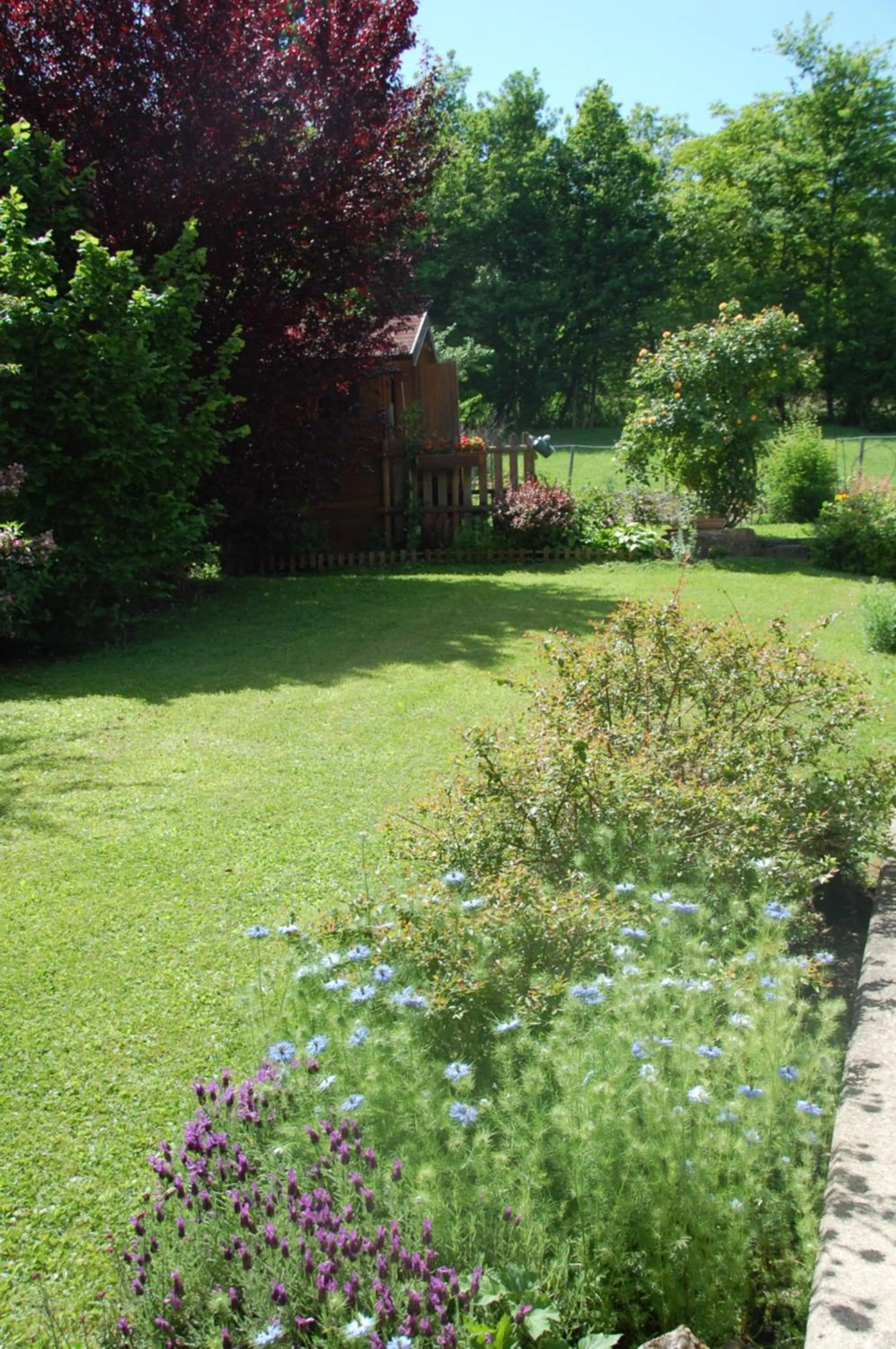 Garden in B&B La Provenzale