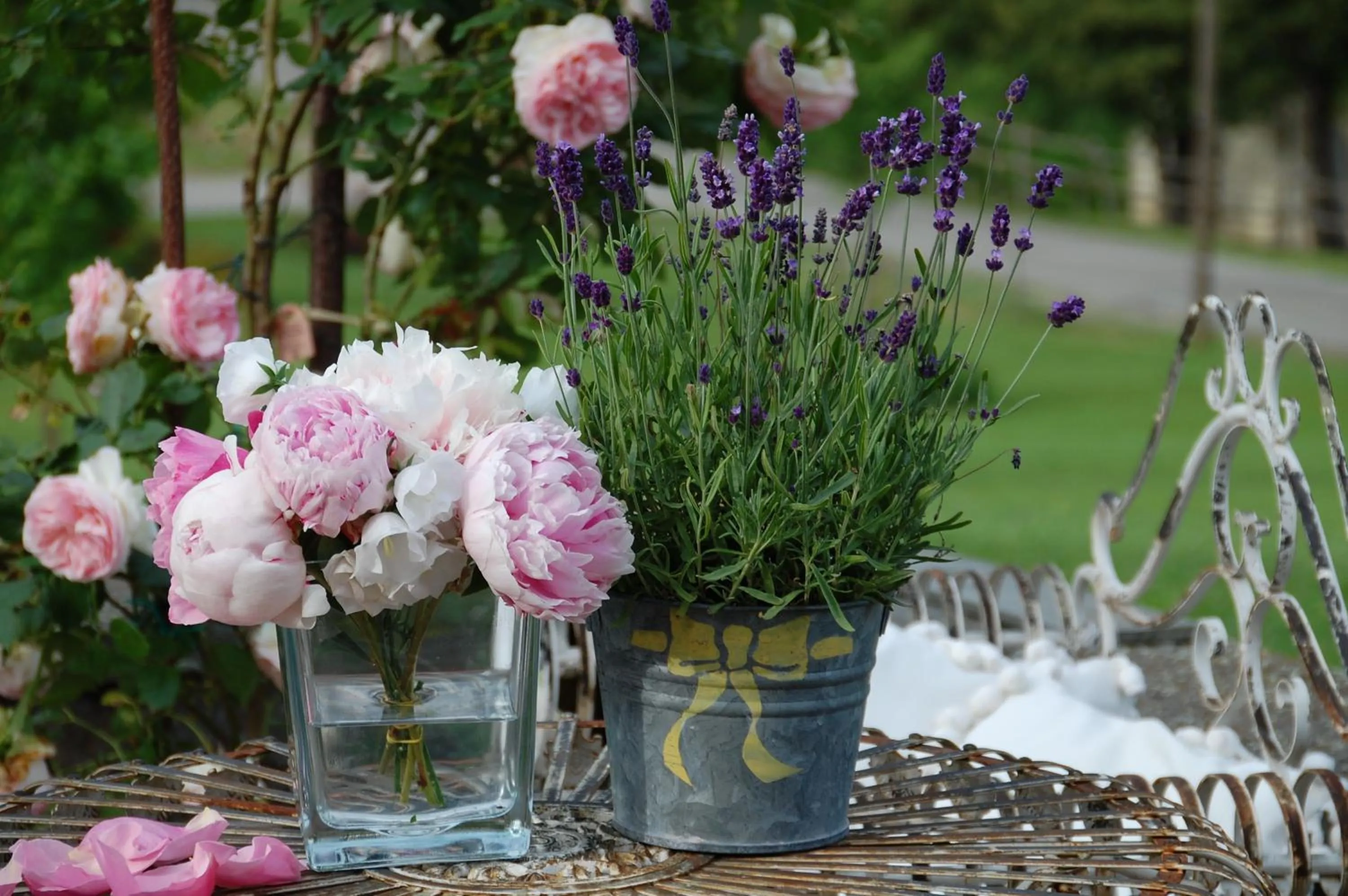 Patio in B&B La Provenzale