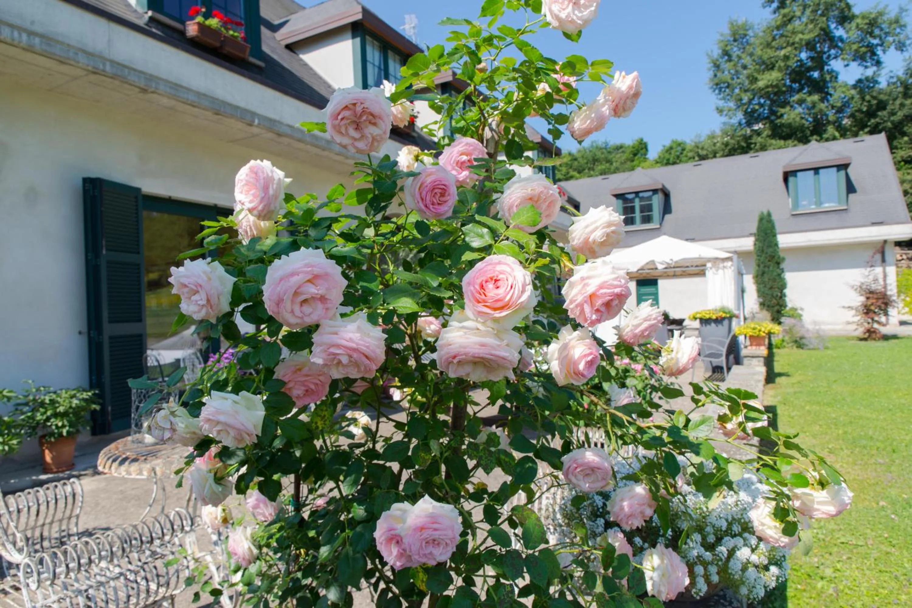 Balcony/Terrace in B&B La Provenzale