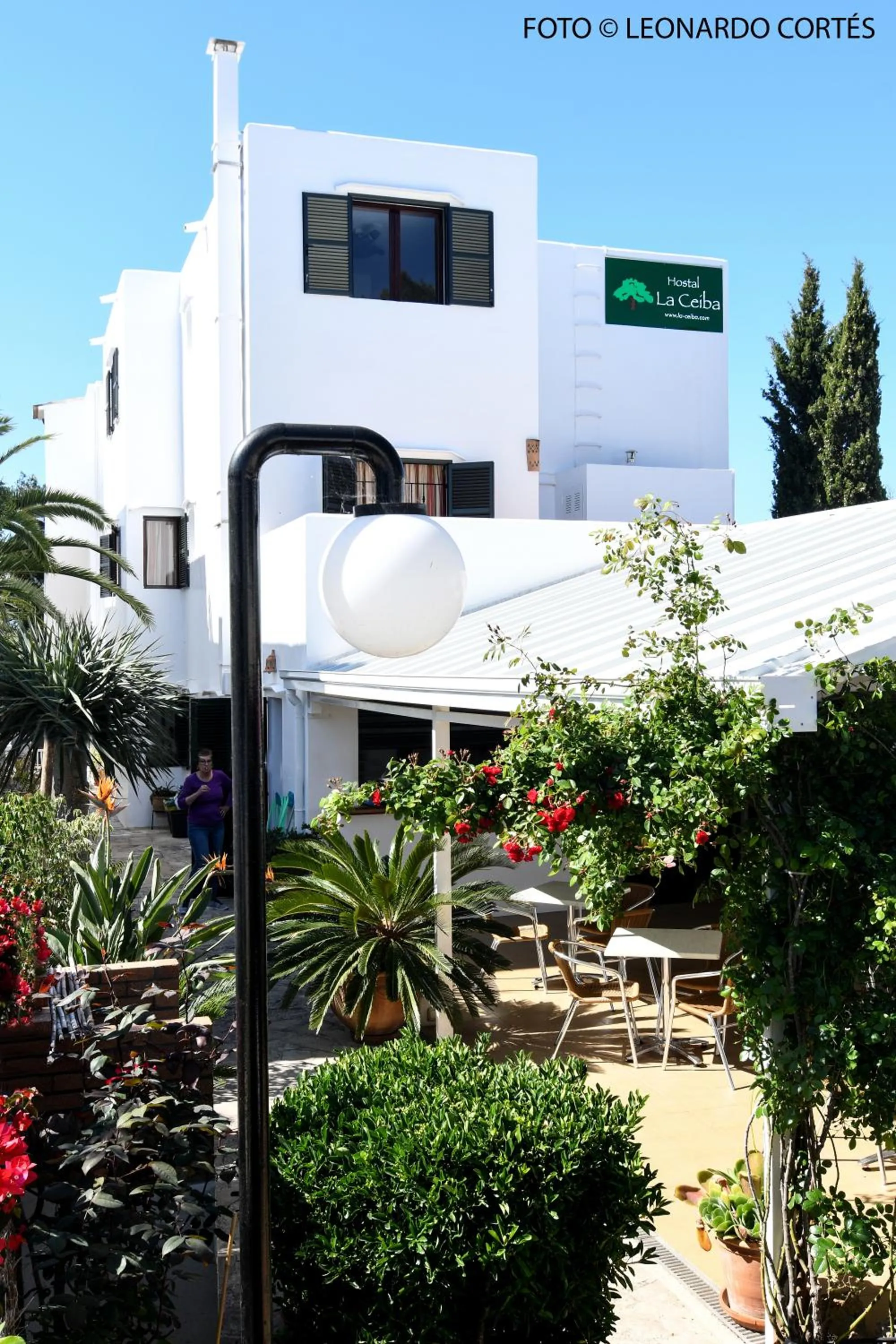 Garden in Hostal La Ceiba