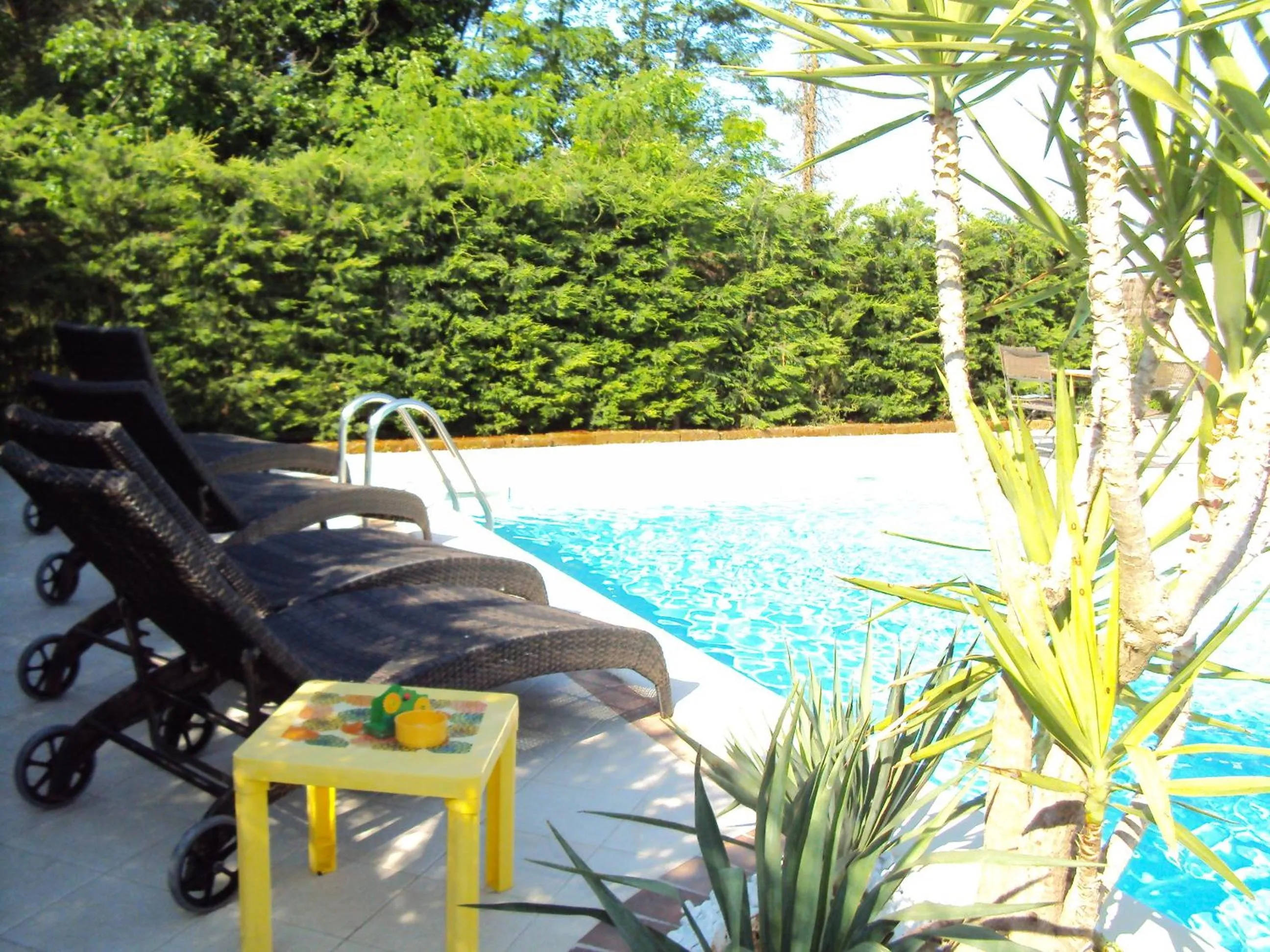 Solarium in Casa di Campagna B&B La Corte Ferrara