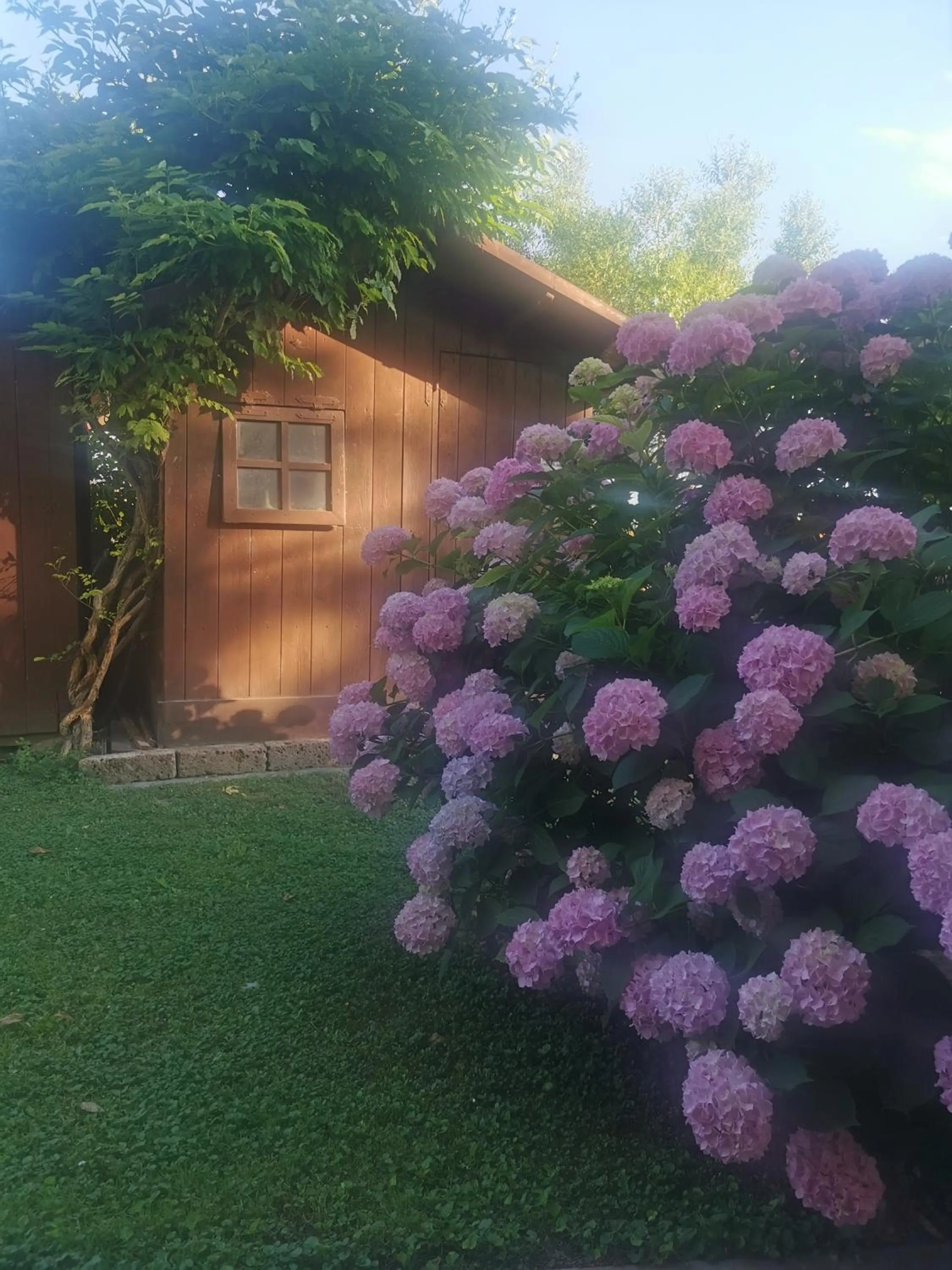 Garden view in Casa di Campagna B&B La Corte Ferrara
