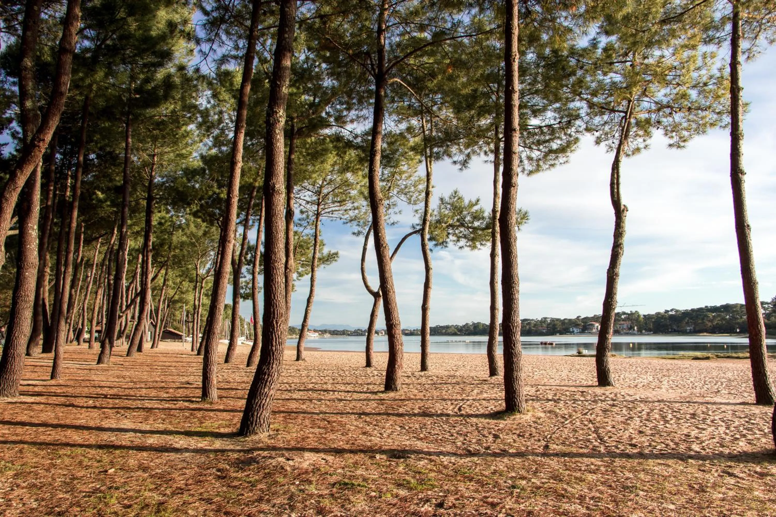 Fishing in Résidence Hôtelière les Acanthes